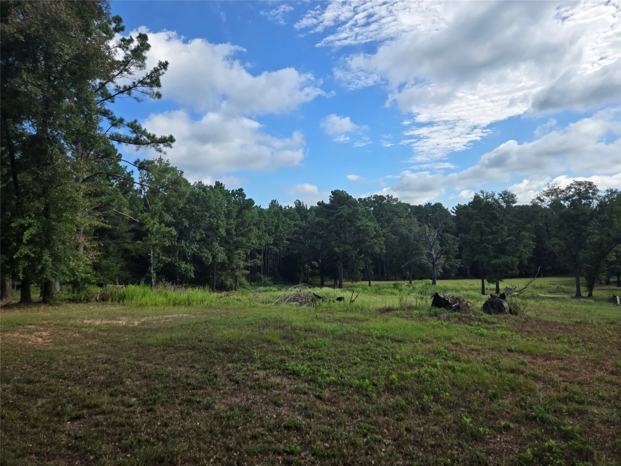 View of rear pasture