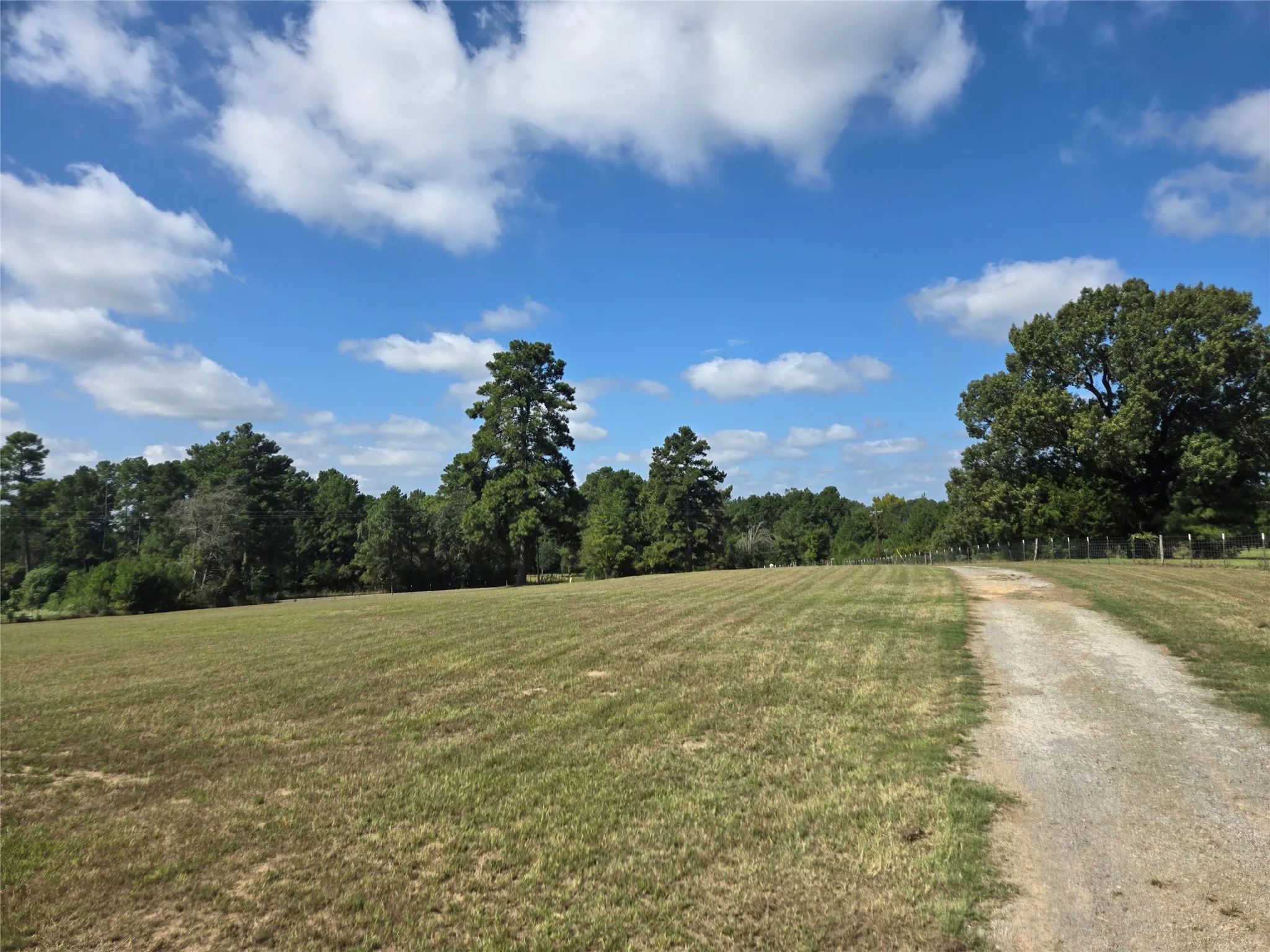 View of front pasture