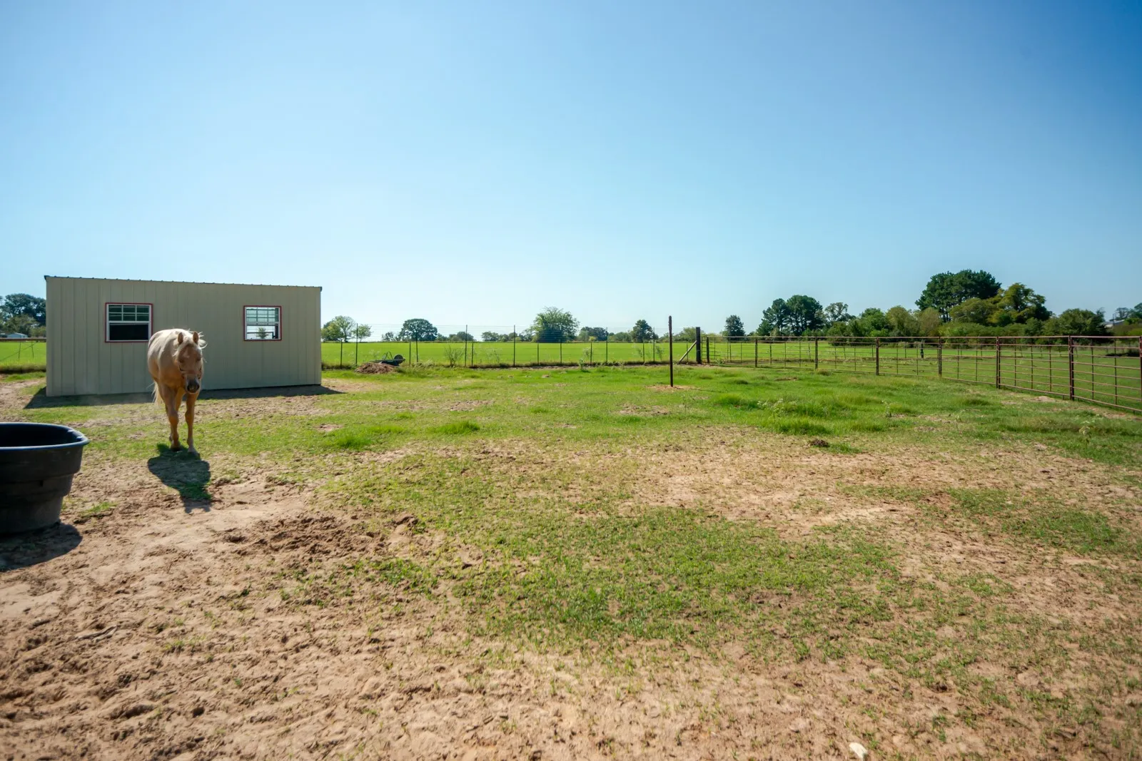 Single Family Residence For Sale in Van Zandt County , 2548 Fm 857, Grand Saline, Texas 75140, 8 Bedroom, 6 Bathroom, 8 Garage spaces, 4,950 Sqft, built in 2009, mls#21385191, Real Estate Agent in Grand Saline, Homes For Sale in Van Zandt county, Homes For Sale in Grand Saline, Realtor in Grand Saline Texas, Real Estate Brokerage Independent Realty Texas, Luminita Cordes Realtor