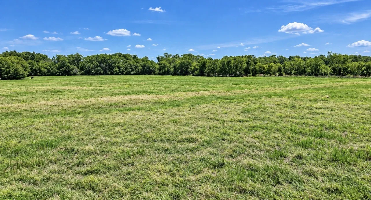 Unimproved Land For Sale in Falls County , 102 County Road 151, Riesel, Texas 76682, 0, 0, Garage spaces, 0 Sqft, built in 0, mls#21385360, Real Estate Agent in Riesel, Homes For Sale in Falls county, Homes For Sale in Riesel, Realtor in Riesel Texas, Real Estate Brokerage Independent Realty Texas, Luminita Cordes Realtor