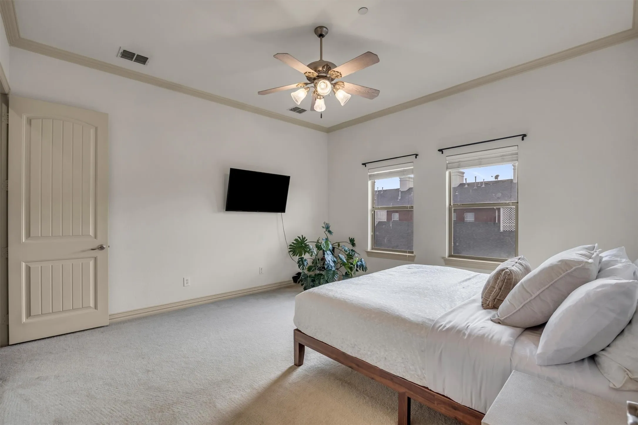 Carpeted room with a ceiling fan, two windows, and crown molding