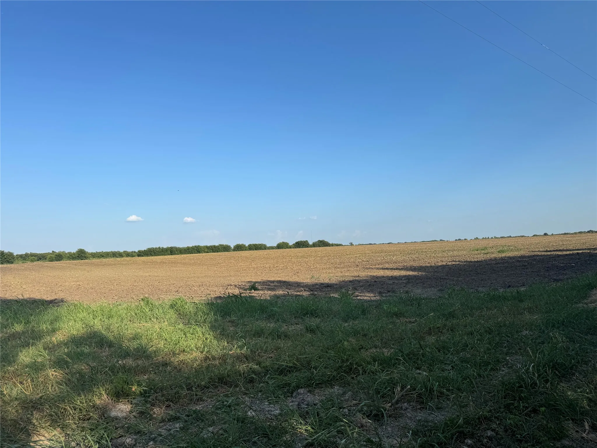 Expansive cleared land with distant tree line
