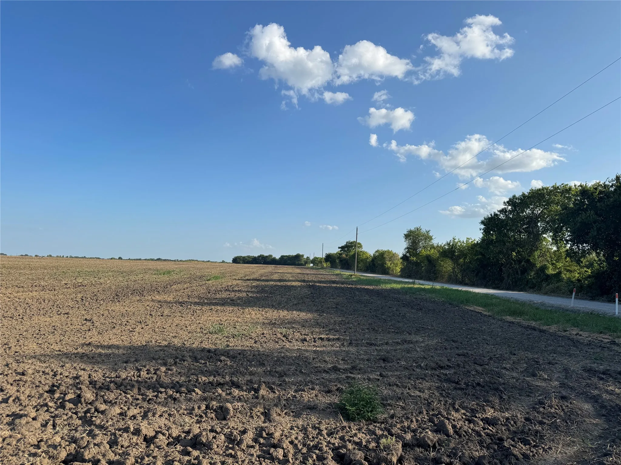 Unimproved Land For Sale in Fannin County , TBD Tract 2, 12Acres County 3060, Bonham, Texas 75418, 0, 0, Garage spaces, 0 Sqft, built in 0, mls#21385398, Real Estate Agent in Bonham, Homes For Sale in Fannin county, Homes For Sale in Bonham, Realtor in Bonham Texas, Real Estate Brokerage Independent Realty Texas, Luminita Cordes Realtor