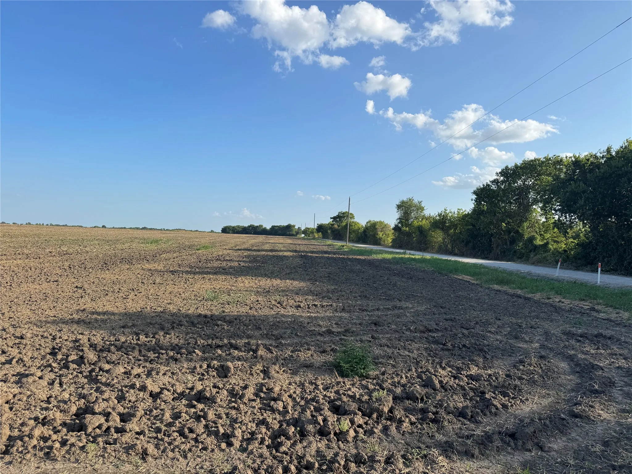 Expansive cultivated land featuring an unpaved road and mature trees along the perimeter