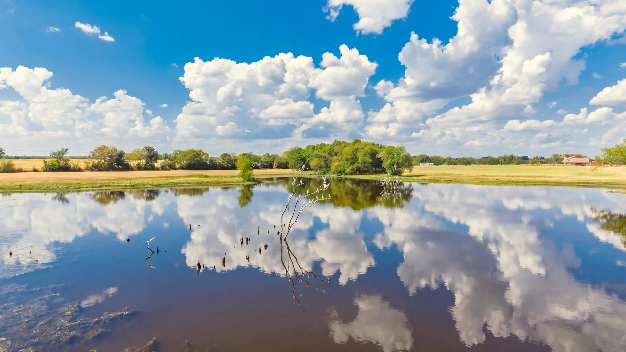 Farm For Sale in Hunt County , 7959 County Road 4823, Wolfe City, Texas 75496, 2 Bedroom, 2 Bathroom, Garage spaces, 1,200 Sqft, built in 2014, mls#21385401, Real Estate Agent in Wolfe City, Homes For Sale in Hunt county, Homes For Sale in Wolfe City, Realtor in Wolfe City Texas, Real Estate Brokerage Independent Realty Texas, Luminita Cordes Realtor