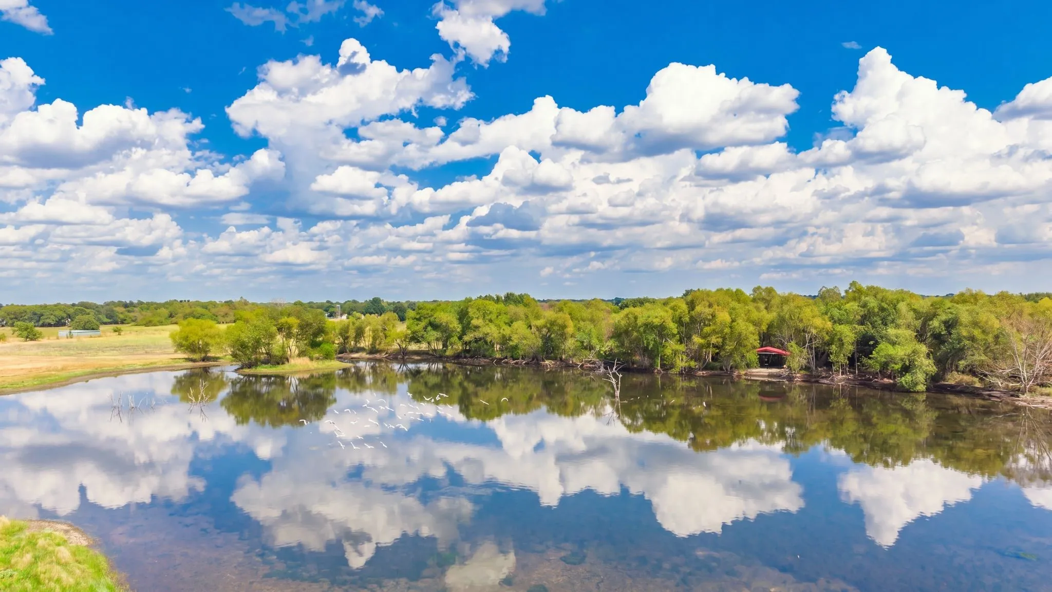 Farm For Sale in Hunt County , 7959 County Road 4823, Wolfe City, Texas 75496, 2 Bedroom, 2 Bathroom, Garage spaces, 1,200 Sqft, built in 2014, mls#21385401, Real Estate Agent in Wolfe City, Homes For Sale in Hunt county, Homes For Sale in Wolfe City, Realtor in Wolfe City Texas, Real Estate Brokerage Independent Realty Texas, Luminita Cordes Realtor