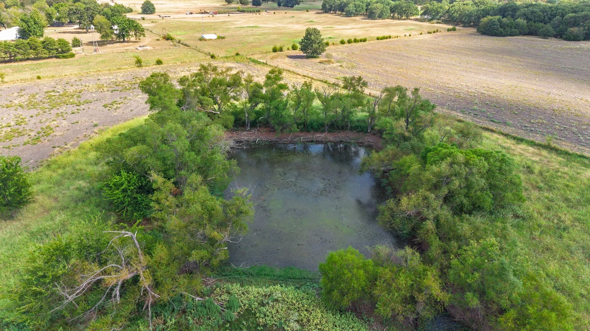 Farm For Sale in Hunt County , 7959 County Road 4823, Wolfe City, Texas 75496, 2 Bedroom, 2 Bathroom, Garage spaces, 1,200 Sqft, built in 2014, mls#21385401, Real Estate Agent in Wolfe City, Homes For Sale in Hunt county, Homes For Sale in Wolfe City, Realtor in Wolfe City Texas, Real Estate Brokerage Independent Realty Texas, Luminita Cordes Realtor