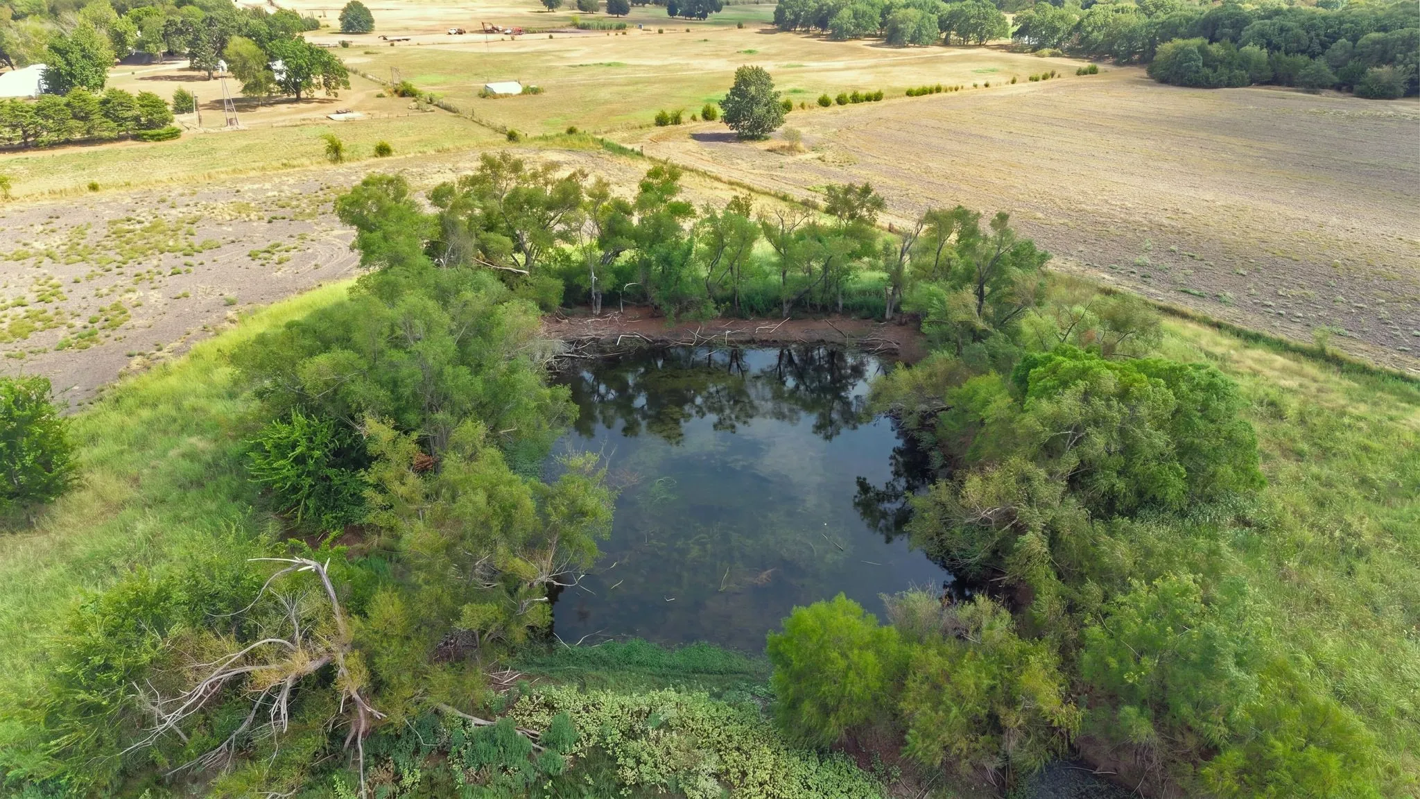 Farm For Sale in Hunt County , 7959 County Road 4823, Wolfe City, Texas 75496, 2 Bedroom, 2 Bathroom, Garage spaces, 1,200 Sqft, built in 2014, mls#21385401, Real Estate Agent in Wolfe City, Homes For Sale in Hunt county, Homes For Sale in Wolfe City, Realtor in Wolfe City Texas, Real Estate Brokerage Independent Realty Texas, Luminita Cordes Realtor
