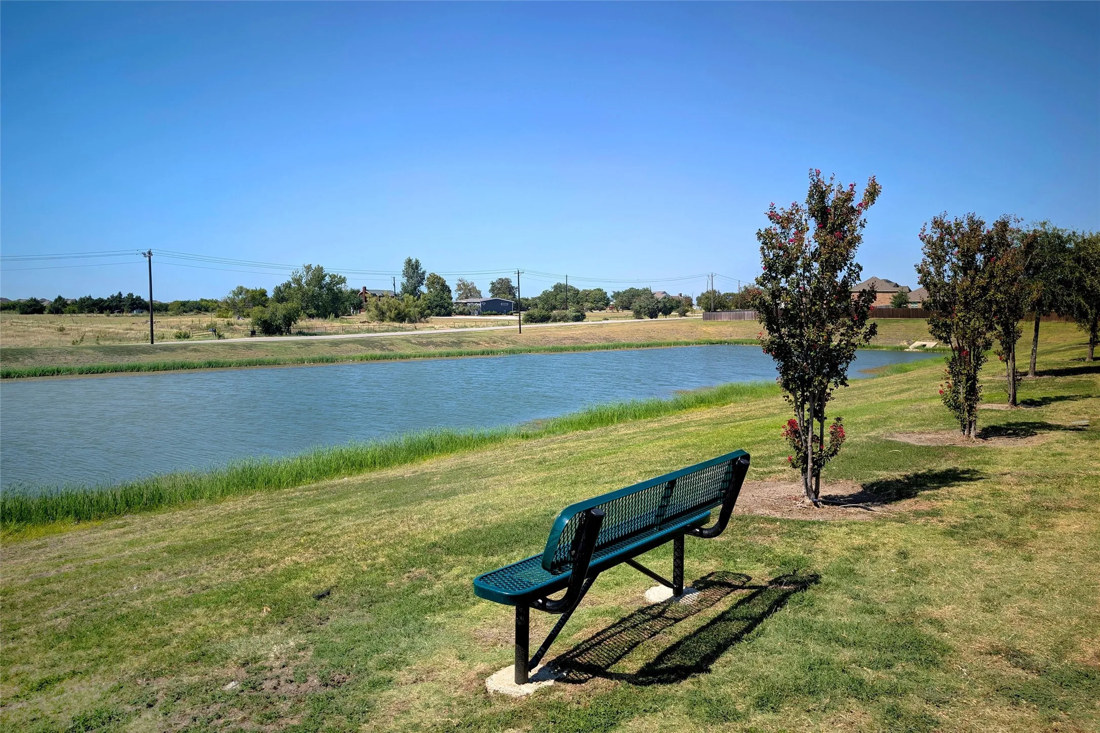 Single Family Residence For Rent in Kaufman County , 1060 Sadie Street, Forney, Texas 75126, 4 Bedroom, 2 Bathroom, 2 Garage spaces, 2,000 Sqft, built in 2018, mls#21380855, Real Estate Agent in Forney, Homes For Rent in Kaufman county, Homes For Rent in Forney, Realtor in Forney Texas, Real Estate Brokerage Independent Realty Texas, Luminita Cordes Realtor
