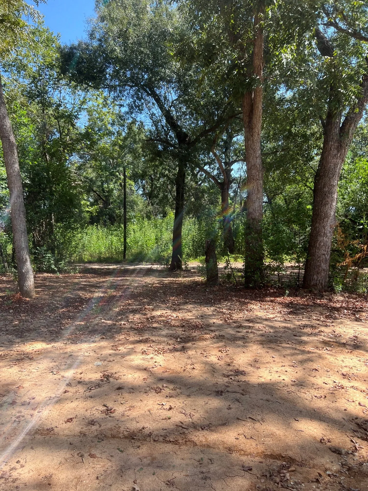 Single Family Residence For Sale in Limestone County , 3778 Hwy 14, Mexia, Texas 76667, 3 Bedroom, 2 Bathroom, Garage spaces, 1,920 Sqft, built in 1997, mls#21385404, Real Estate Agent in Mexia, Homes For Sale in Limestone county, Homes For Sale in Mexia, Realtor in Mexia Texas, Real Estate Brokerage Independent Realty Texas, Luminita Cordes Realtor