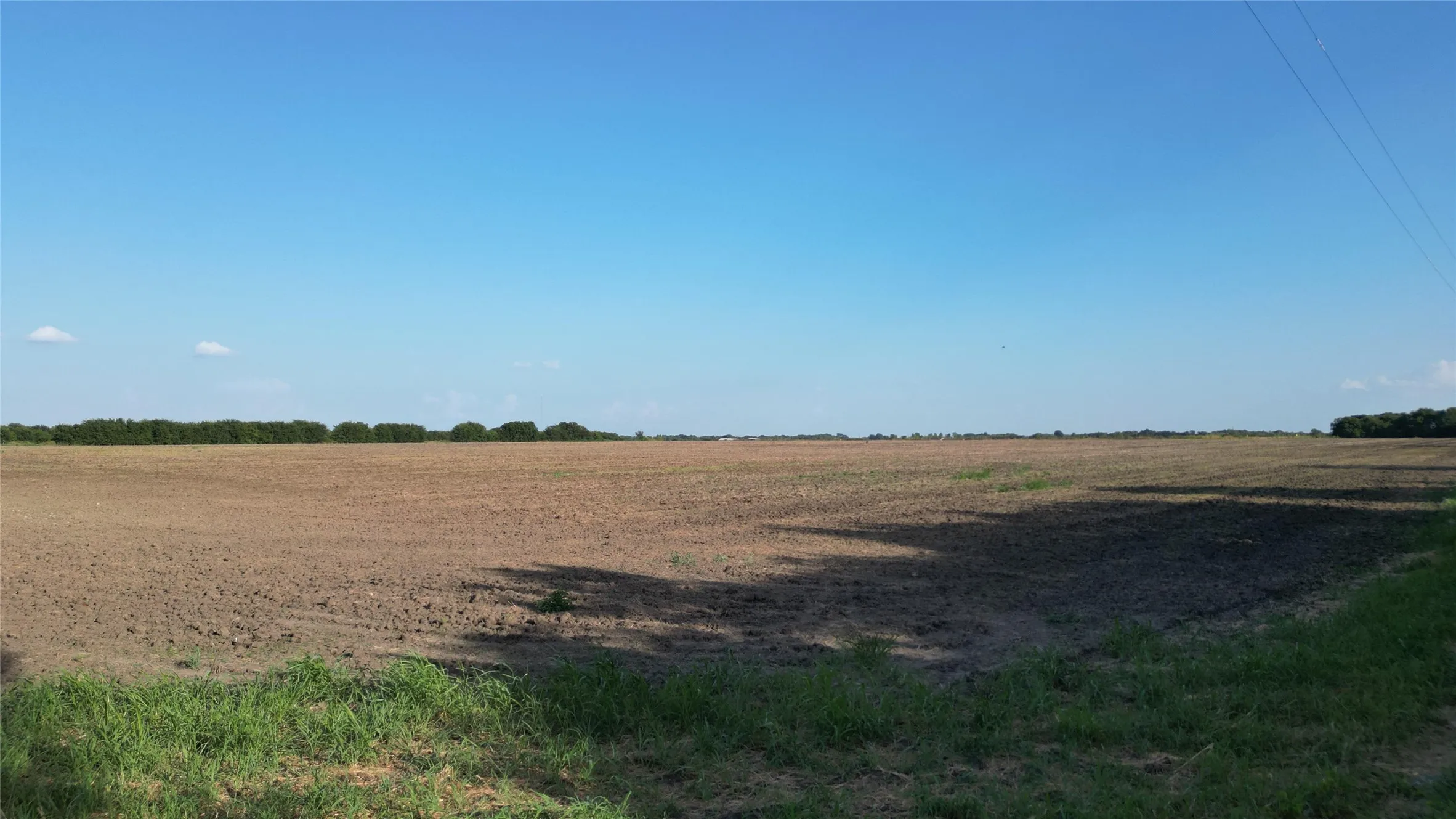 Expansive agricultural land with a clear, open sky