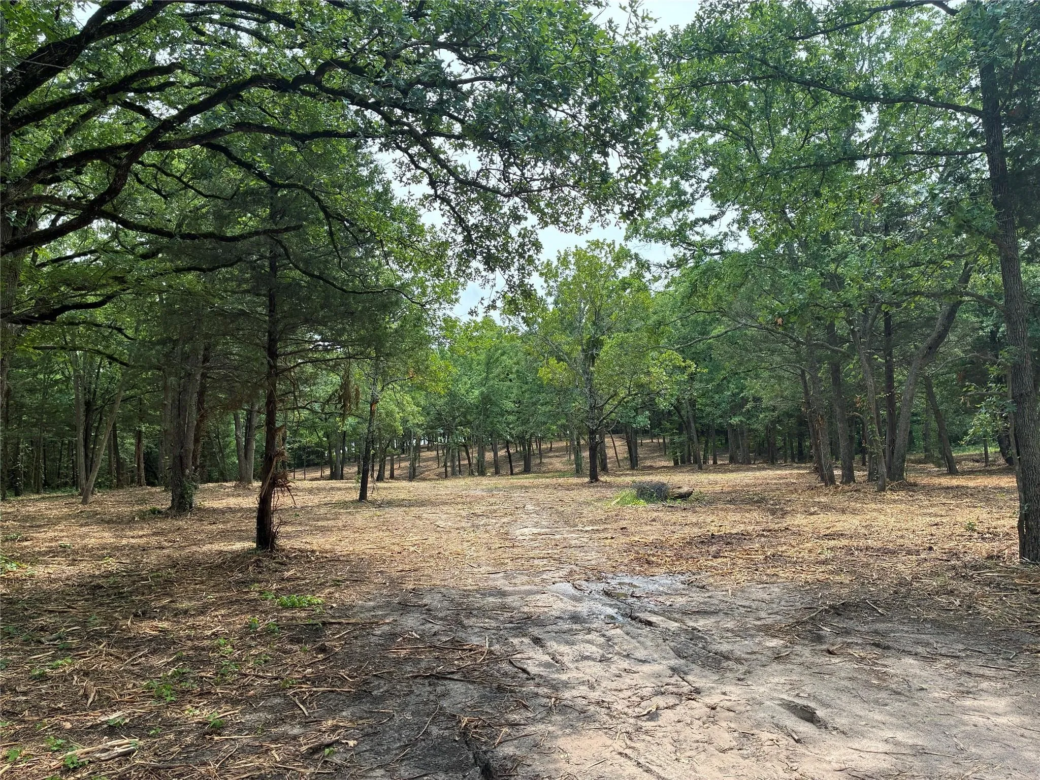 Unimproved Land For Sale in Hunt County , 1981 Underwood 1B, Quinlan, Texas 75474, 0, 0, Garage spaces, 0 Sqft, built in 0, mls#21385428, Real Estate Agent in Quinlan, Homes For Sale in Hunt county, Homes For Sale in Quinlan, Realtor in Quinlan Texas, Real Estate Brokerage Independent Realty Texas, Luminita Cordes Realtor