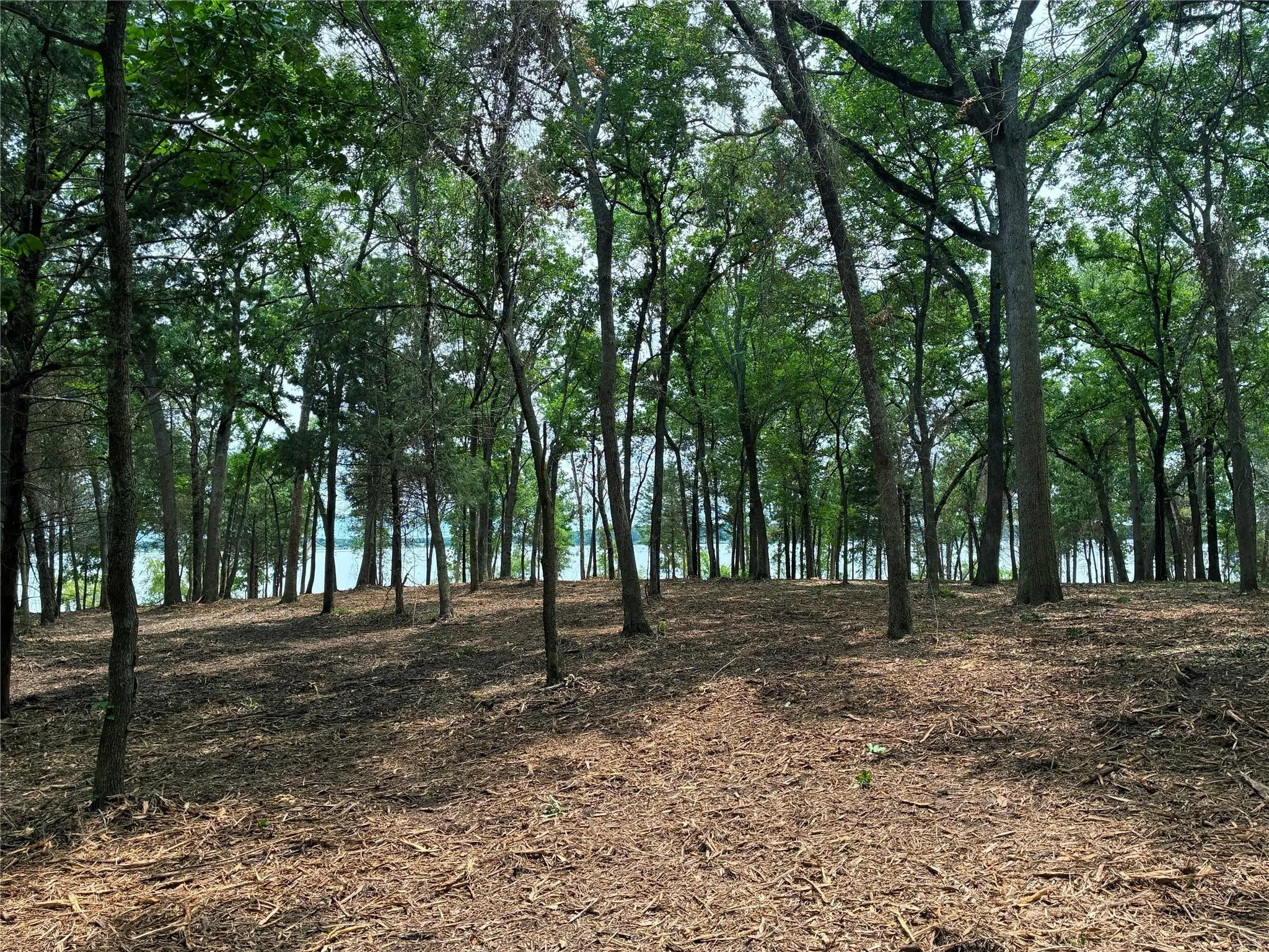 Unimproved Land For Sale in Hunt County , 1981 Underwood 1B, Quinlan, Texas 75474, 0, 0, Garage spaces, 0 Sqft, built in 0, mls#21385428, Real Estate Agent in Quinlan, Homes For Sale in Hunt county, Homes For Sale in Quinlan, Realtor in Quinlan Texas, Real Estate Brokerage Independent Realty Texas, Luminita Cordes Realtor