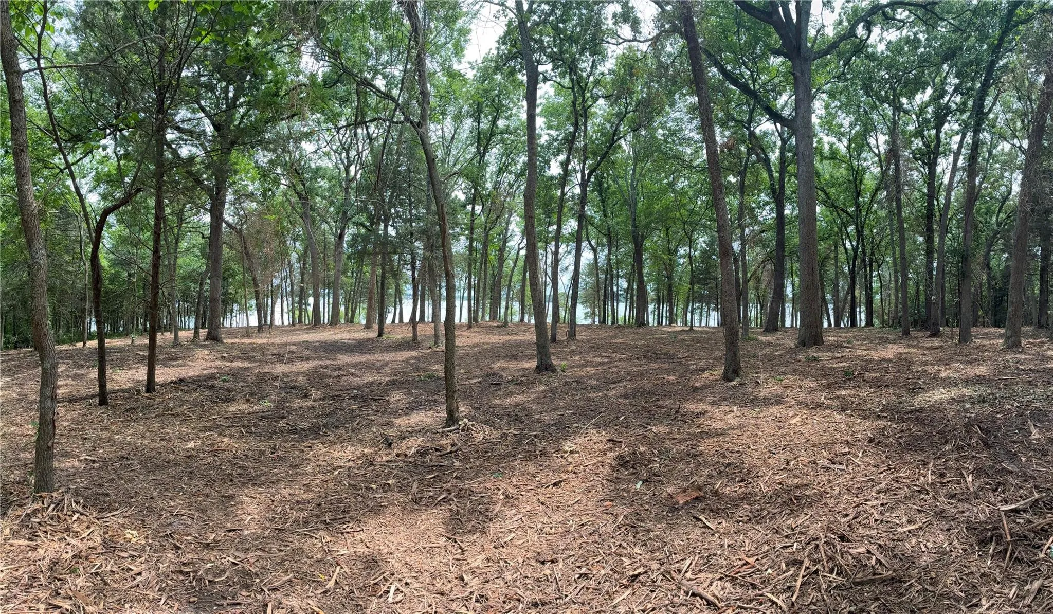 Unimproved Land For Sale in Hunt County , 1981 Underwood 1B, Quinlan, Texas 75474, 0, 0, Garage spaces, 0 Sqft, built in 0, mls#21385428, Real Estate Agent in Quinlan, Homes For Sale in Hunt county, Homes For Sale in Quinlan, Realtor in Quinlan Texas, Real Estate Brokerage Independent Realty Texas, Luminita Cordes Realtor
