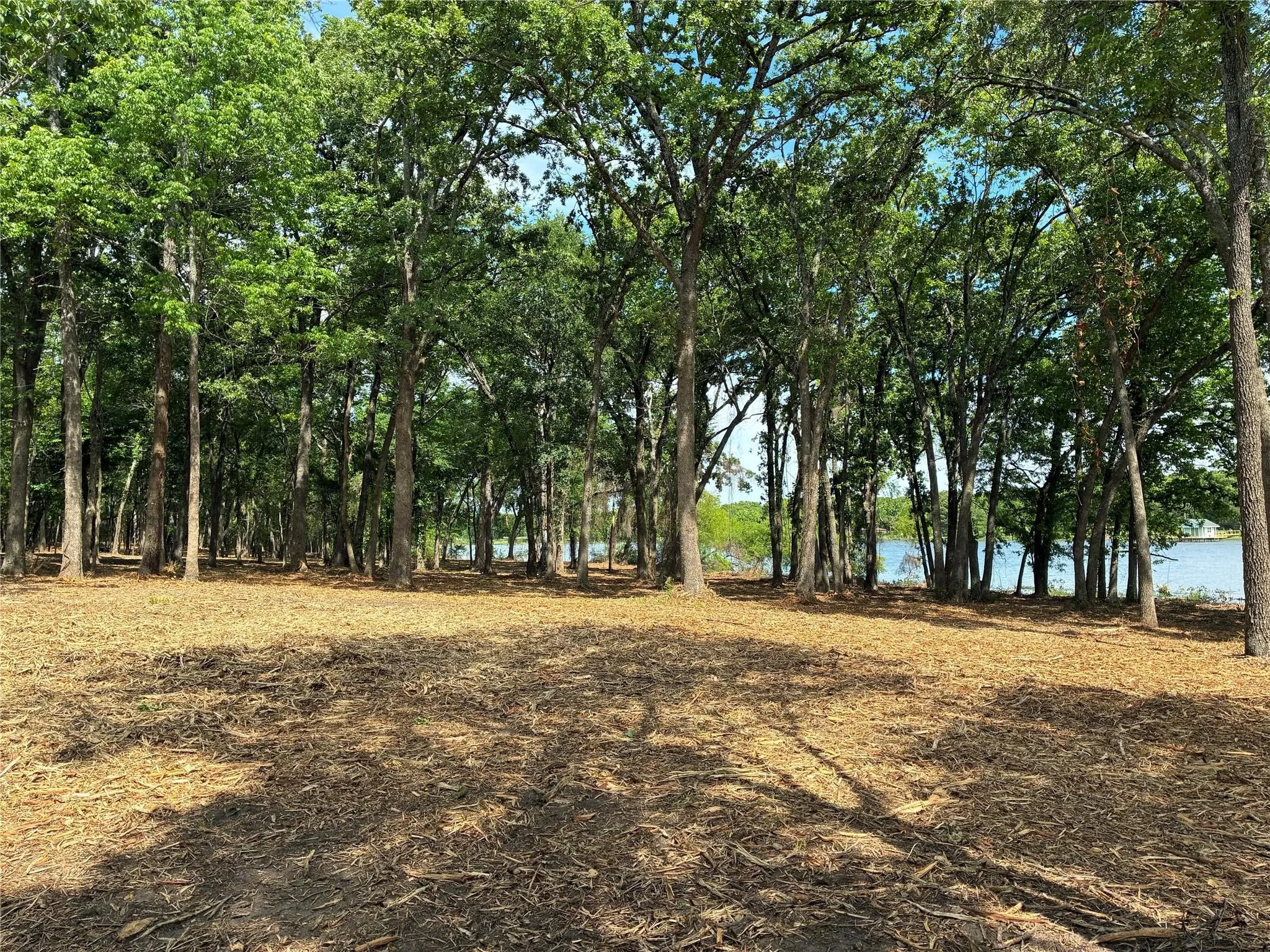 Unimproved Land For Sale in Hunt County , 1981 Underwood 1A, Quinlan, Texas 75474, 0, 0, Garage spaces, 0 Sqft, built in 0, mls#21385429, Real Estate Agent in Quinlan, Homes For Sale in Hunt county, Homes For Sale in Quinlan, Realtor in Quinlan Texas, Real Estate Brokerage Independent Realty Texas, Luminita Cordes Realtor