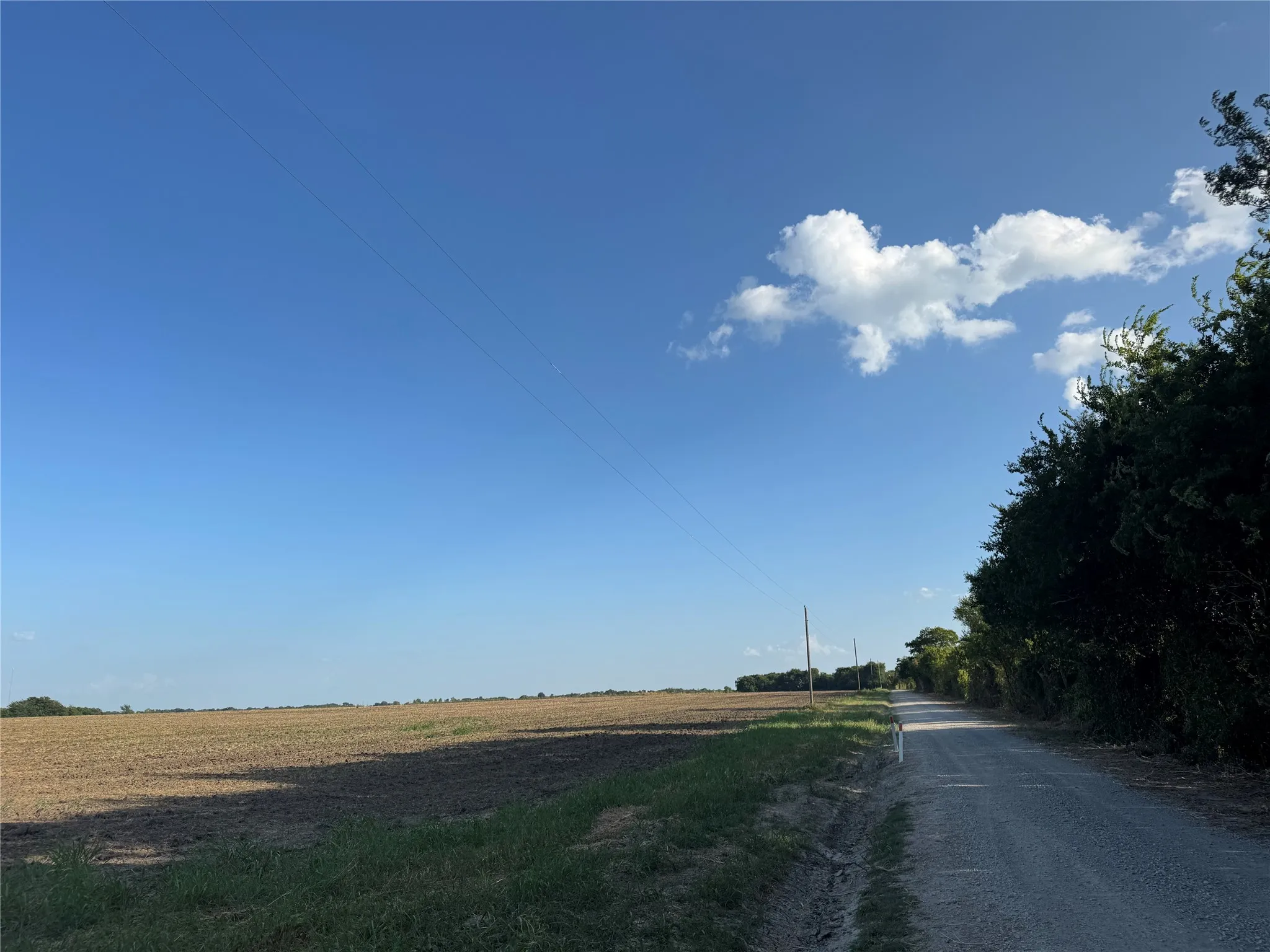 Unimproved Land For Sale in Fannin County , TBD Tract 4, 11.862Acres County 3060, Bonham, Texas 75418, 0, 0, Garage spaces, 0 Sqft, built in 0, mls#21385433, Real Estate Agent in Bonham, Homes For Sale in Fannin county, Homes For Sale in Bonham, Realtor in Bonham Texas, Real Estate Brokerage Independent Realty Texas, Luminita Cordes Realtor