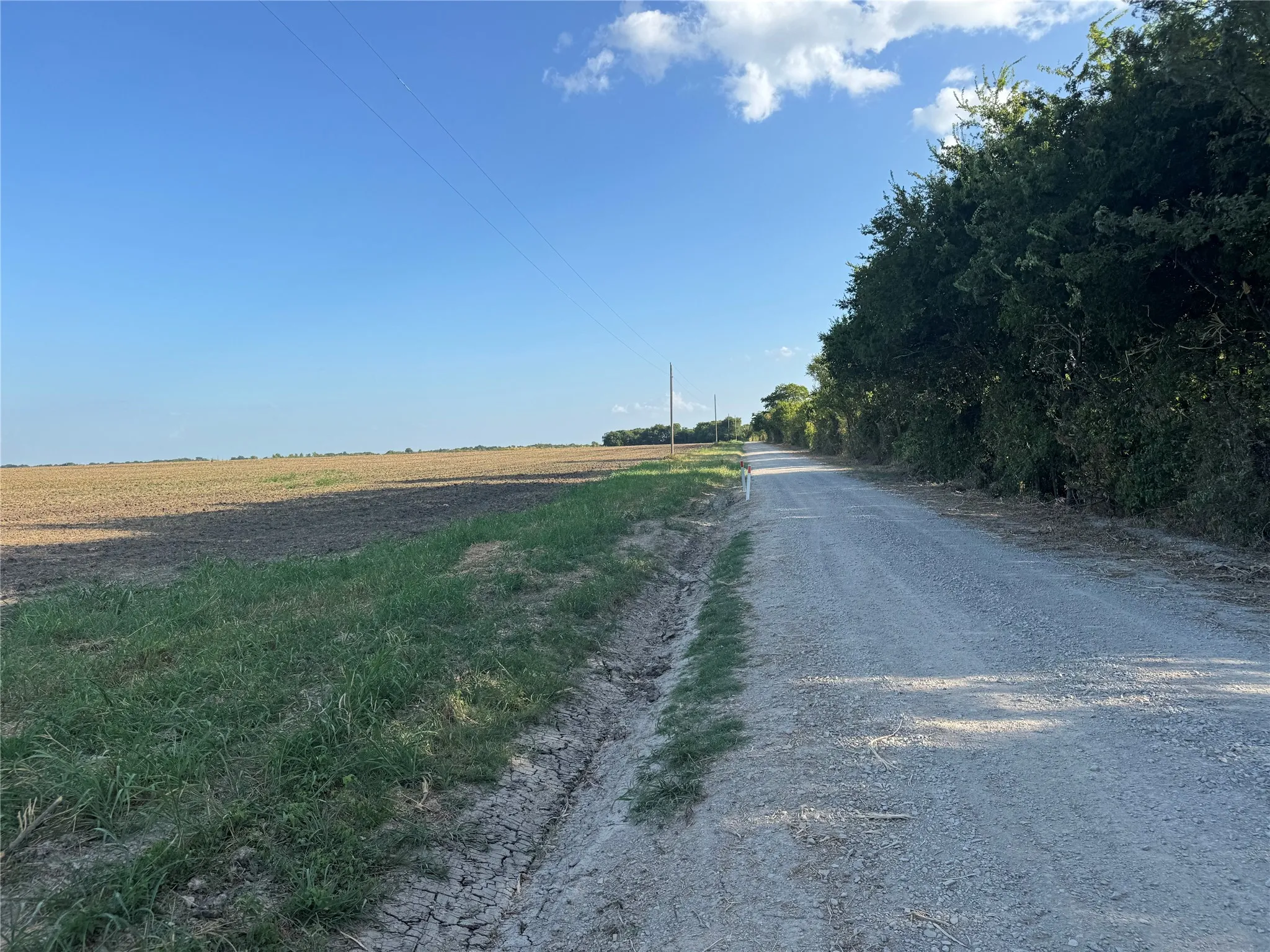 Gravel road with mature tree line