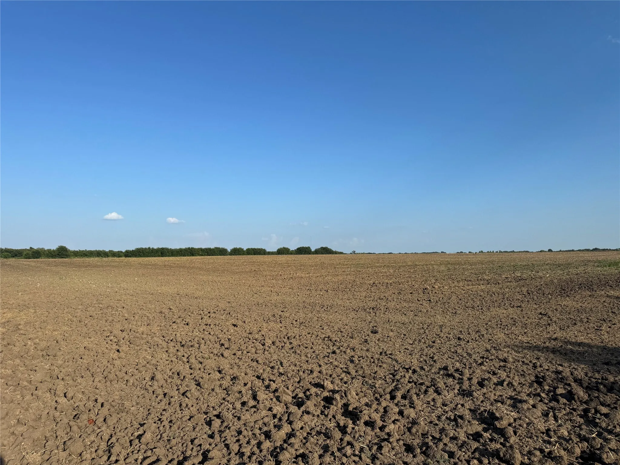 Expansive tilled ground with a tree line in the background