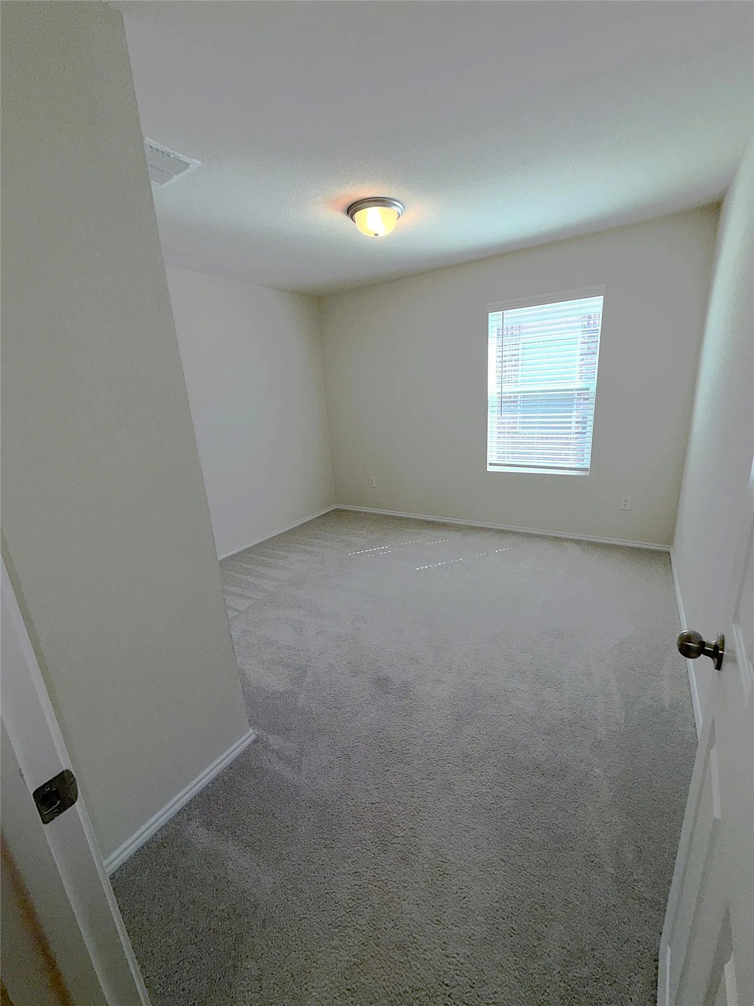Carpeted room featuring a single window with blinds and a ceiling-mounted light fixture