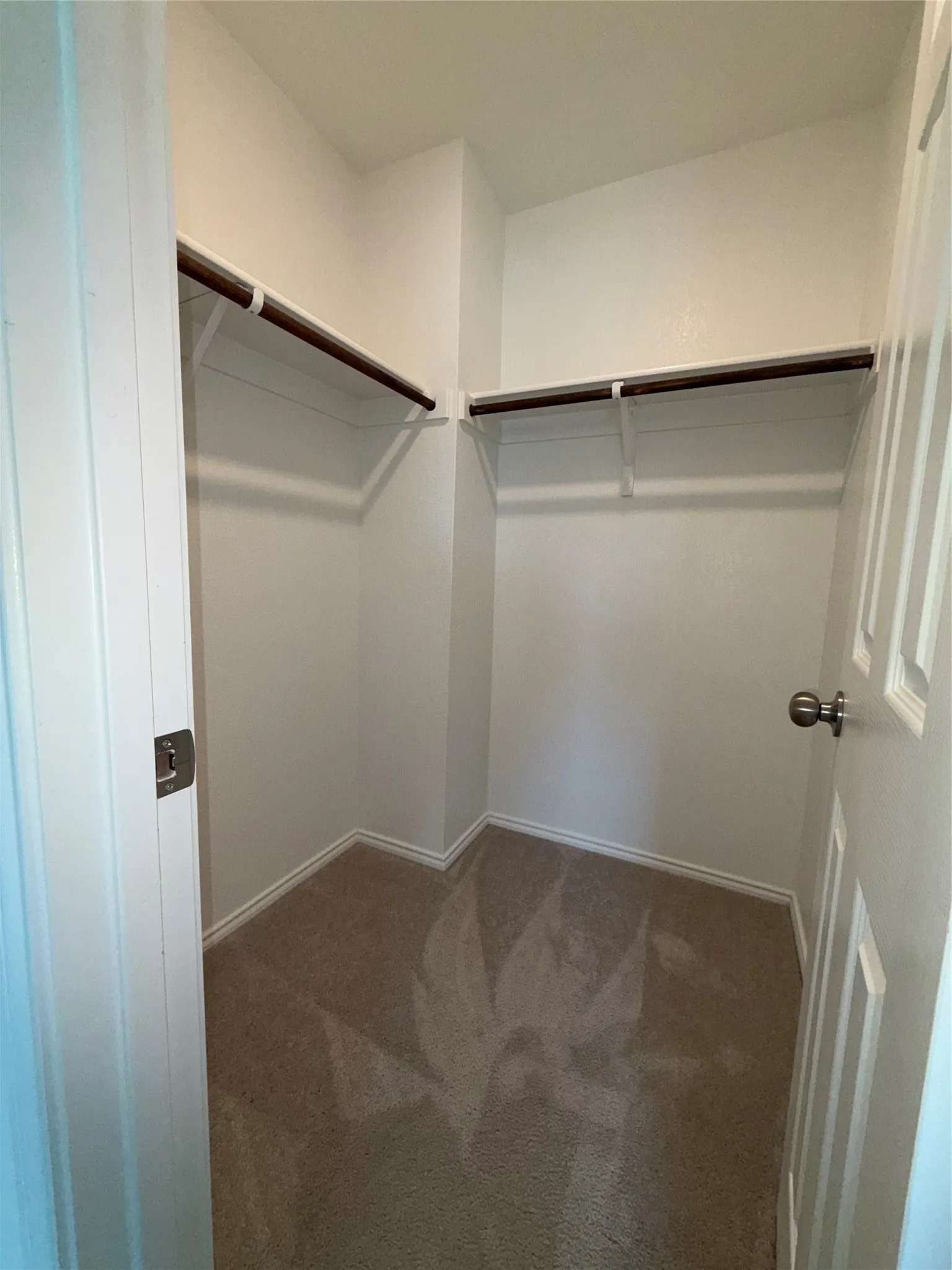 Walk-in closet with carpet flooring, wall-mounted shelving, and hanging rods