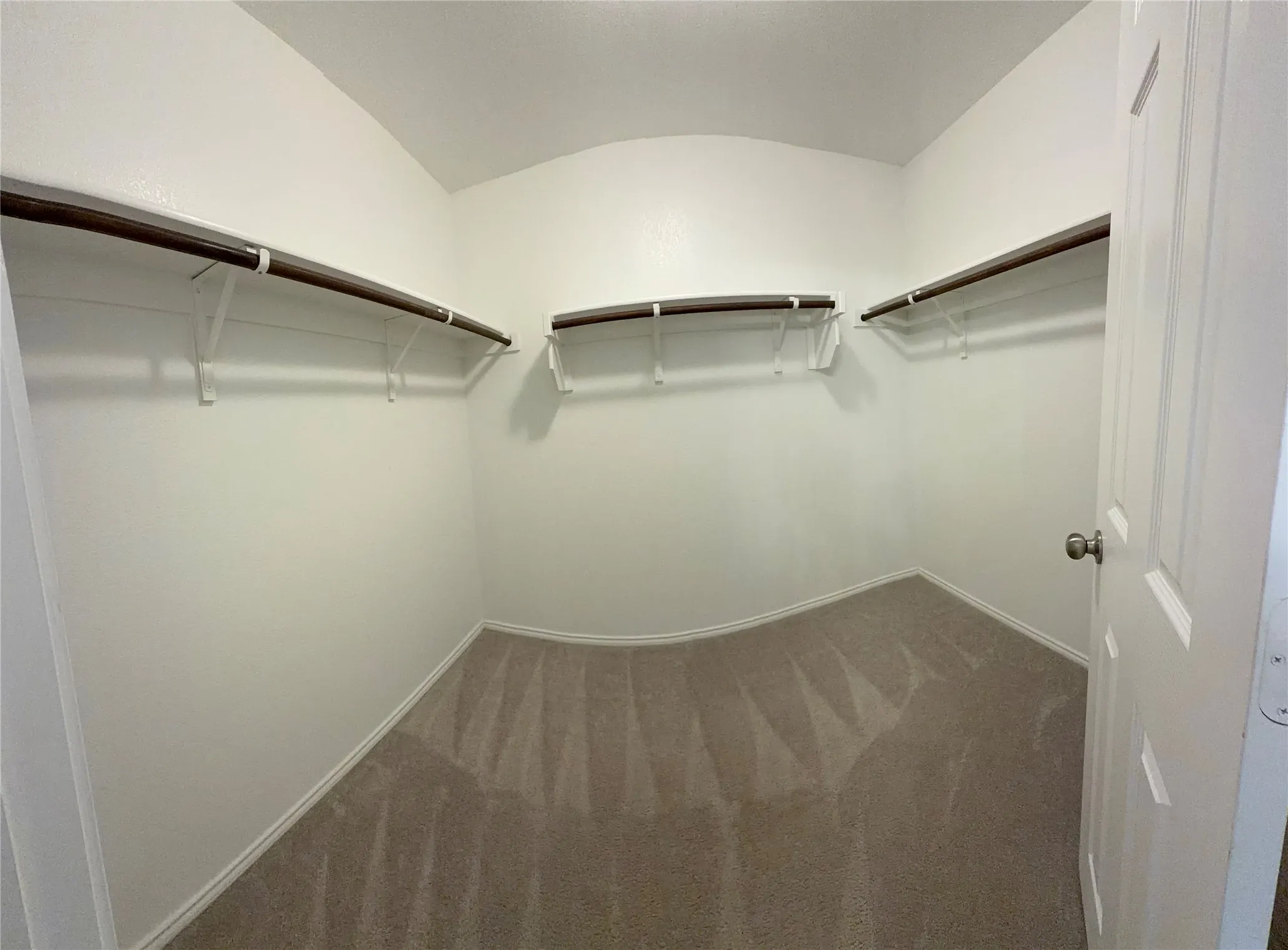 Spacious walk-in closet featuring light-toned carpeting and multiple clothing rods with shelving