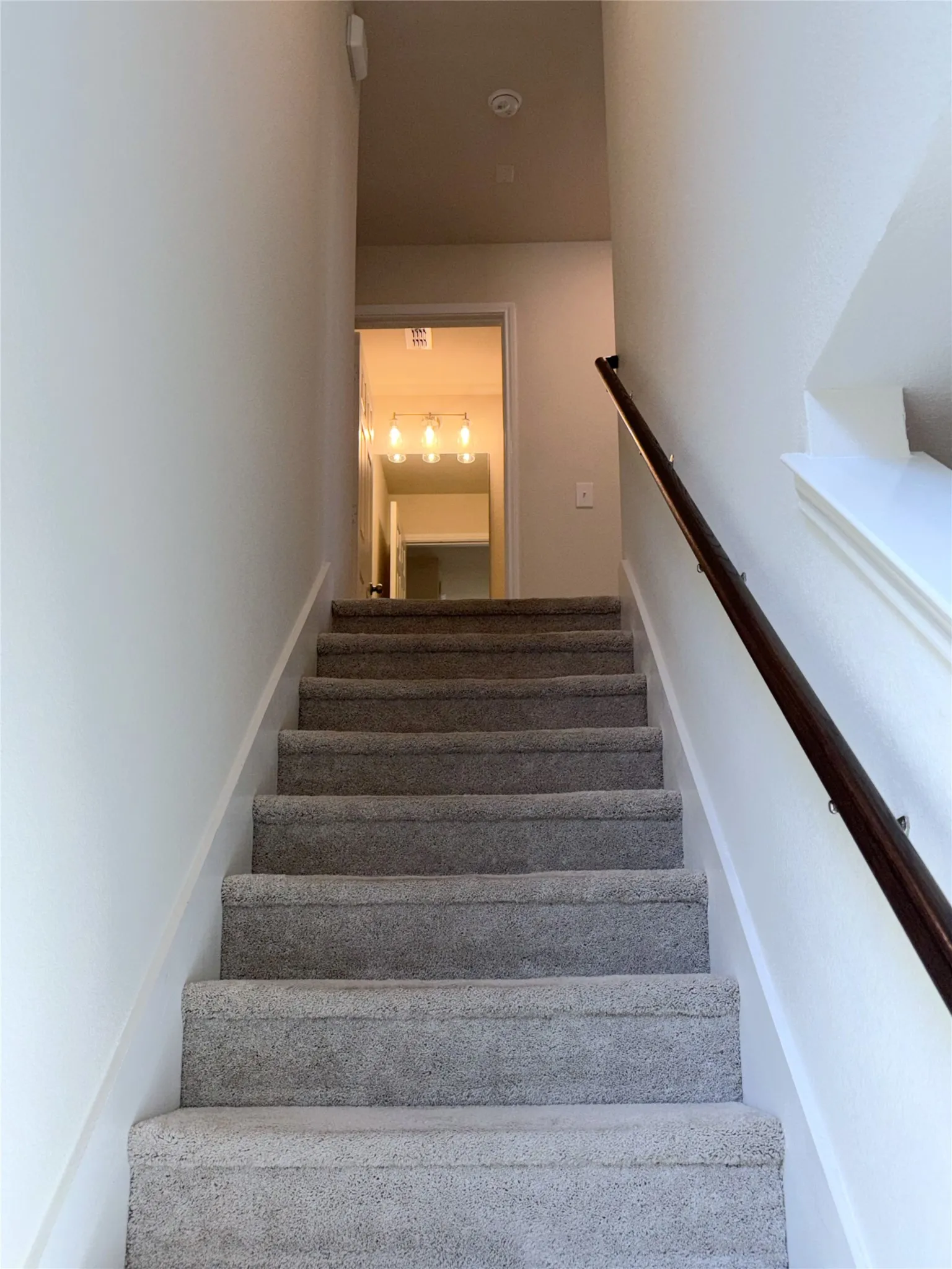 Carpeted staircase with a wood handrail and neutral wall finishes