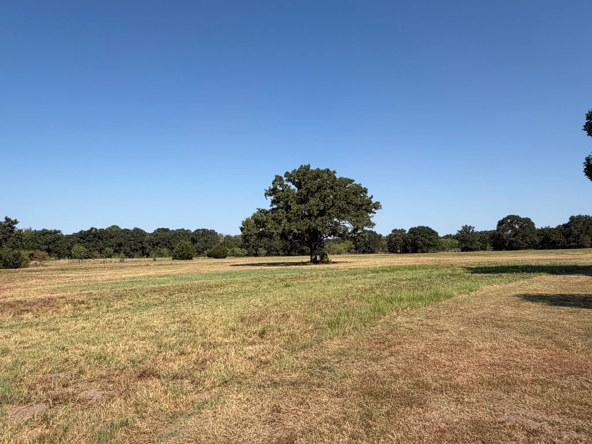 Single Family Residence For Sale in Limestone County , 3281 LCR 486, Mexia, Texas 76667, 3 Bedroom, 3 Bathroom, Garage spaces, 1,860 Sqft, built in 2001, mls#21385457, Real Estate Agent in Mexia, Homes For Sale in Limestone county, Homes For Sale in Mexia, Realtor in Mexia Texas, Real Estate Brokerage Independent Realty Texas, Luminita Cordes Realtor
