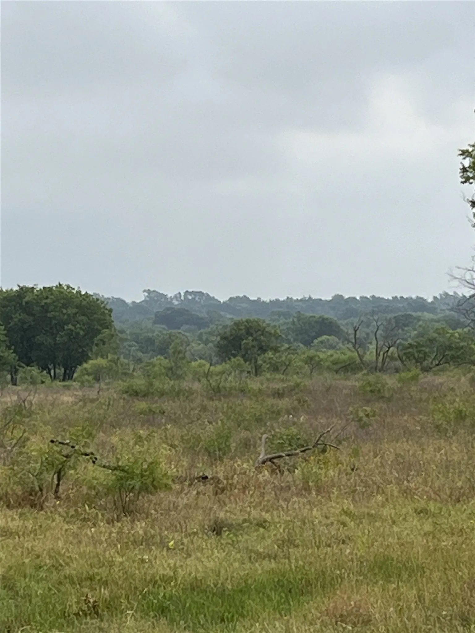 Unimproved Land For Sale in Limestone County , TBD W HWY 84, Mexia, Texas 76667, 0, 0, Garage spaces, 0 Sqft, built in 0, mls#21385489, Real Estate Agent in Mexia, Homes For Sale in Limestone county, Homes For Sale in Mexia, Realtor in Mexia Texas, Real Estate Brokerage Independent Realty Texas, Luminita Cordes Realtor