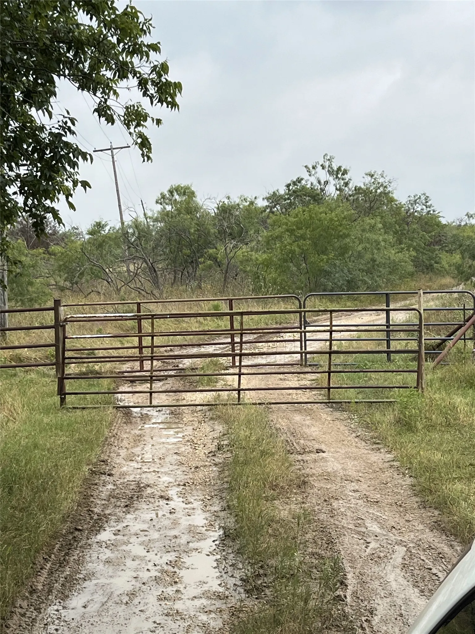 Unimproved Land For Sale in Limestone County , TBD W HWY 84, Mexia, Texas 76667, 0, 0, Garage spaces, 0 Sqft, built in 0, mls#21385489, Real Estate Agent in Mexia, Homes For Sale in Limestone county, Homes For Sale in Mexia, Realtor in Mexia Texas, Real Estate Brokerage Independent Realty Texas, Luminita Cordes Realtor