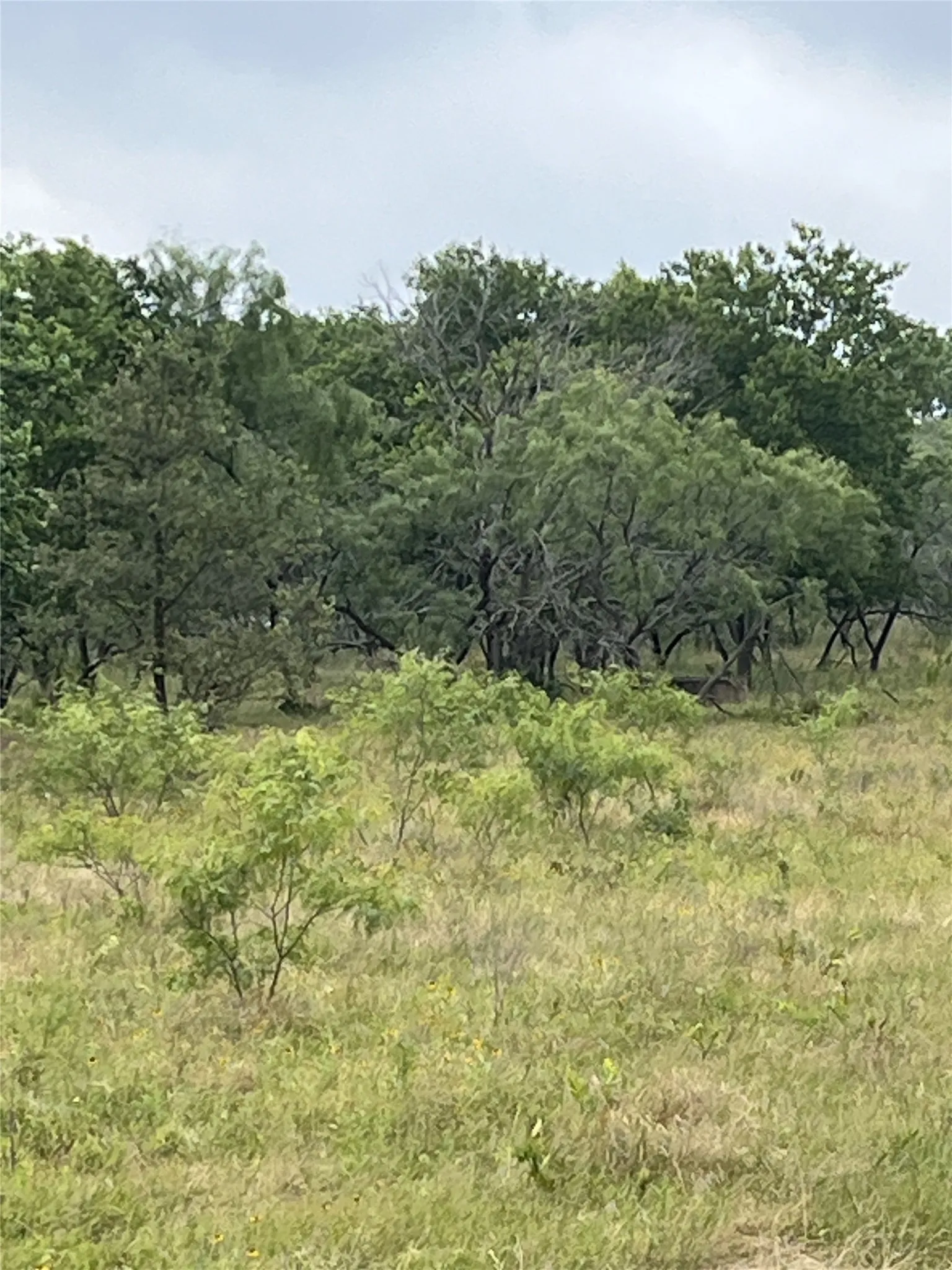 Unimproved Land For Sale in Limestone County , TBD W HWY 84, Mexia, Texas 76667, 0, 0, Garage spaces, 0 Sqft, built in 0, mls#21385489, Real Estate Agent in Mexia, Homes For Sale in Limestone county, Homes For Sale in Mexia, Realtor in Mexia Texas, Real Estate Brokerage Independent Realty Texas, Luminita Cordes Realtor