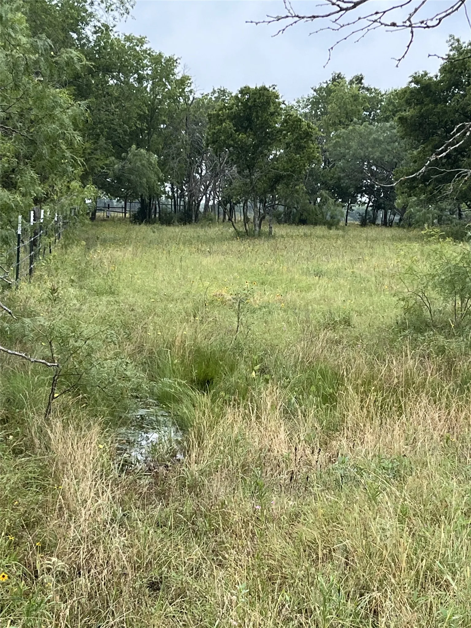 Unimproved Land For Sale in Limestone County , TBD W HWY 84, Mexia, Texas 76667, 0, 0, Garage spaces, 0 Sqft, built in 0, mls#21385489, Real Estate Agent in Mexia, Homes For Sale in Limestone county, Homes For Sale in Mexia, Realtor in Mexia Texas, Real Estate Brokerage Independent Realty Texas, Luminita Cordes Realtor