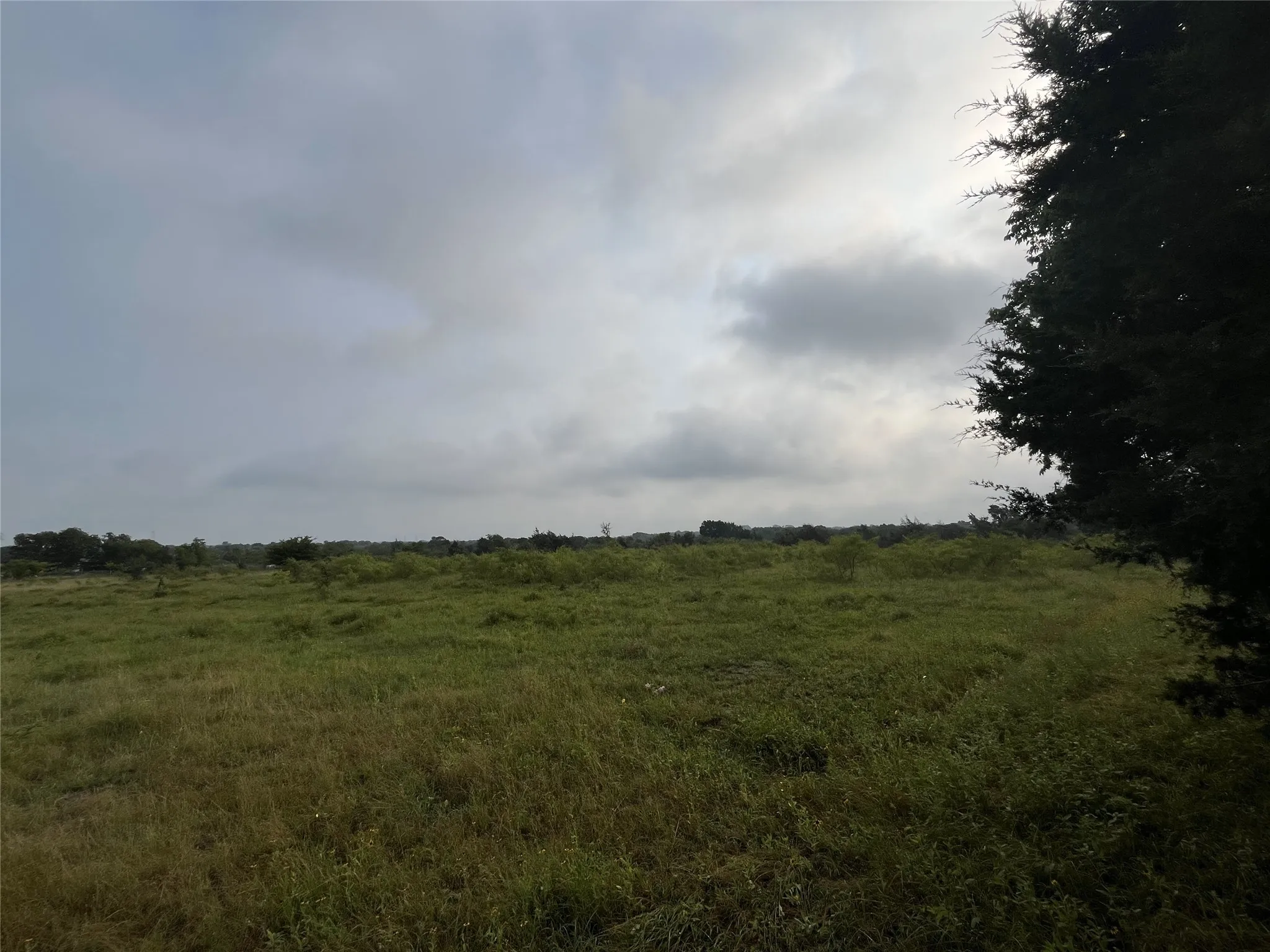 Unimproved Land For Sale in Limestone County , TBD W HWY 84, Mexia, Texas 76667, 0, 0, Garage spaces, 0 Sqft, built in 0, mls#21385489, Real Estate Agent in Mexia, Homes For Sale in Limestone county, Homes For Sale in Mexia, Realtor in Mexia Texas, Real Estate Brokerage Independent Realty Texas, Luminita Cordes Realtor