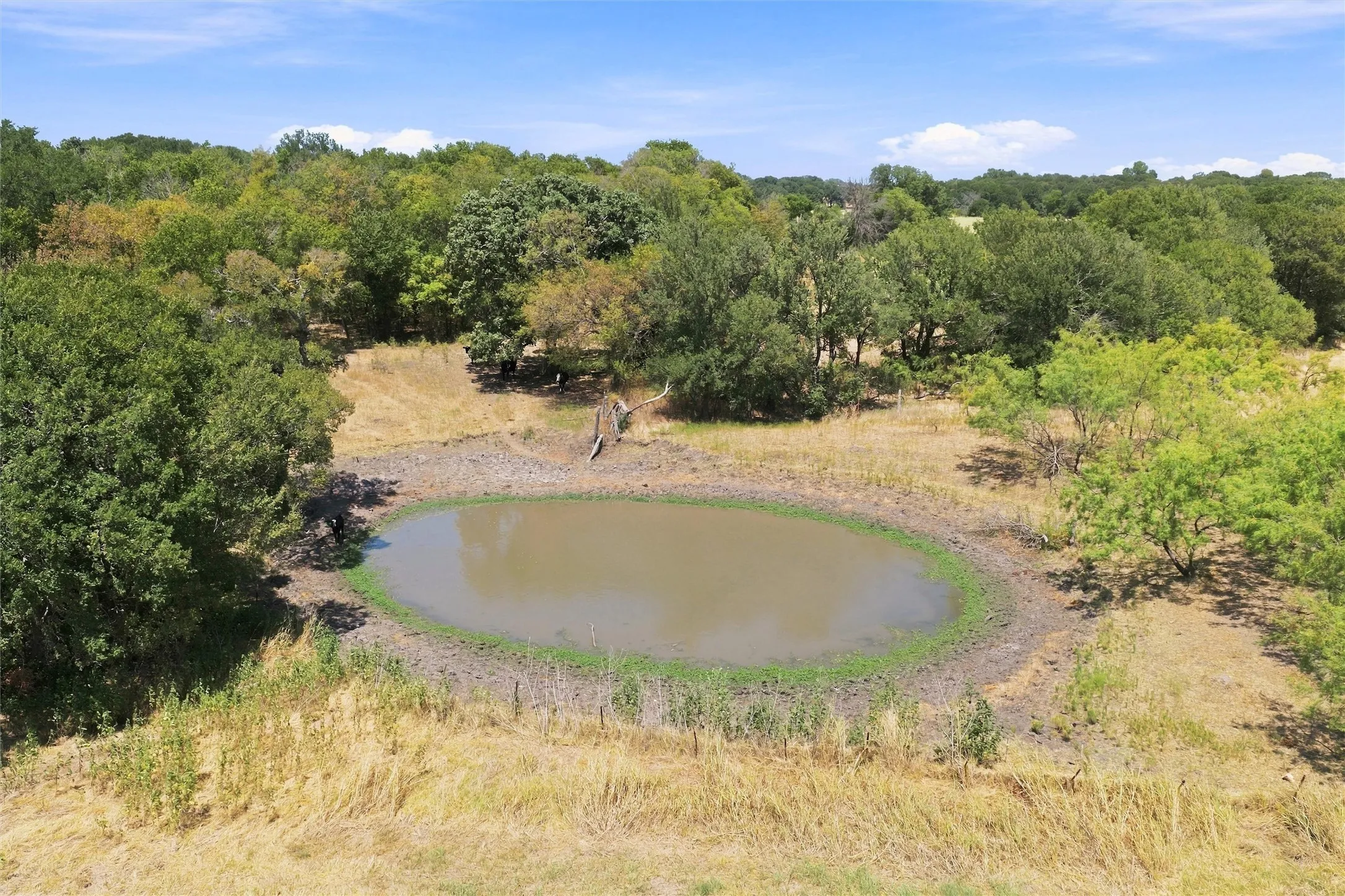 Ranch For Sale in Hill County , 7526 Fm 2114, Hubbard, Texas 76648, 0, 0, Garage spaces, 0 Sqft, built in 2000, mls#21385498, Real Estate Agent in Hubbard, Homes For Sale in Hill county, Homes For Sale in Hubbard, Realtor in Hubbard Texas, Real Estate Brokerage Independent Realty Texas, Luminita Cordes Realtor
