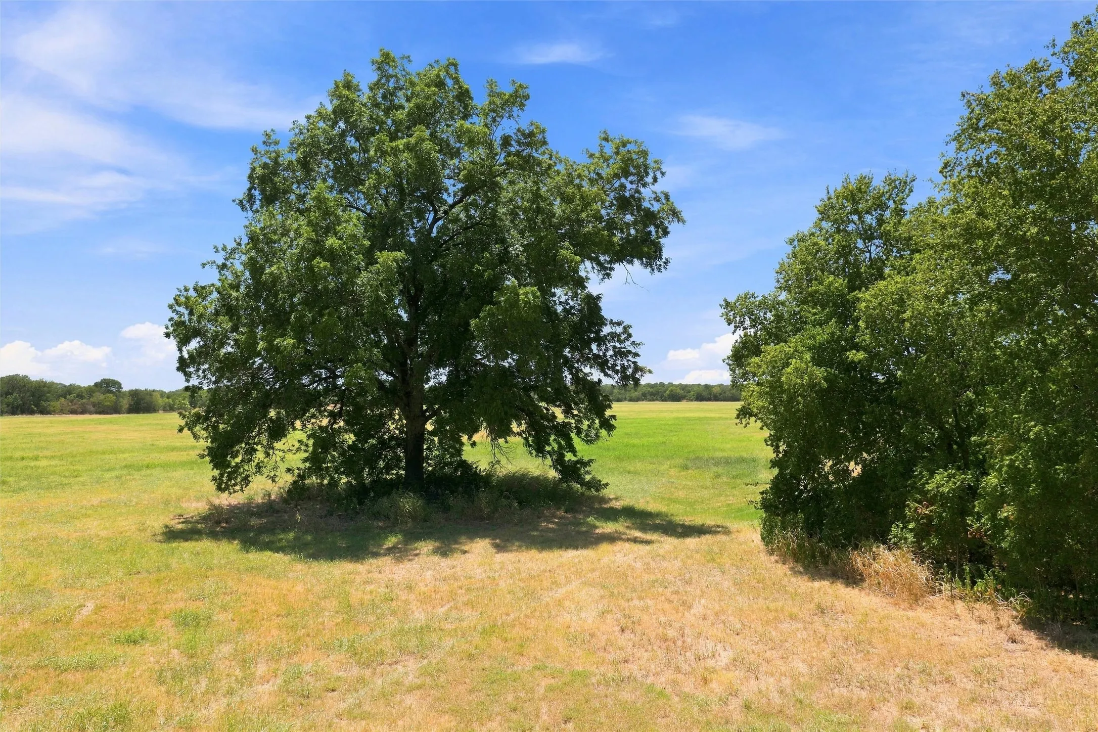 Ranch For Sale in Hill County , 7526 Fm 2114, Hubbard, Texas 76648, 0, 0, Garage spaces, 0 Sqft, built in 2000, mls#21385498, Real Estate Agent in Hubbard, Homes For Sale in Hill county, Homes For Sale in Hubbard, Realtor in Hubbard Texas, Real Estate Brokerage Independent Realty Texas, Luminita Cordes Realtor