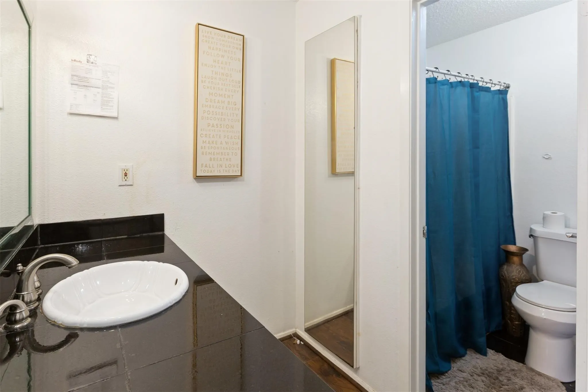 Bathroom 1 - Vanity with an oval undermount sink, brushed nickel faucet, and dark tile countertop