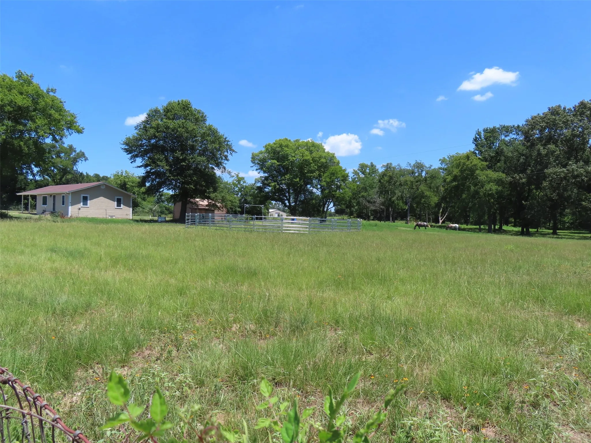 Single Family Residence For Sale in Camp County , 2099 County Road 3420, Leesburg, Texas 75451, 2 Bedroom, 1 Bathroom, Garage spaces, 832 Sqft, built in 1973, mls#21385505, Real Estate Agent in Leesburg, Homes For Sale in Camp county, Homes For Sale in Leesburg, Realtor in Leesburg Texas, Real Estate Brokerage Independent Realty Texas, Luminita Cordes Realtor