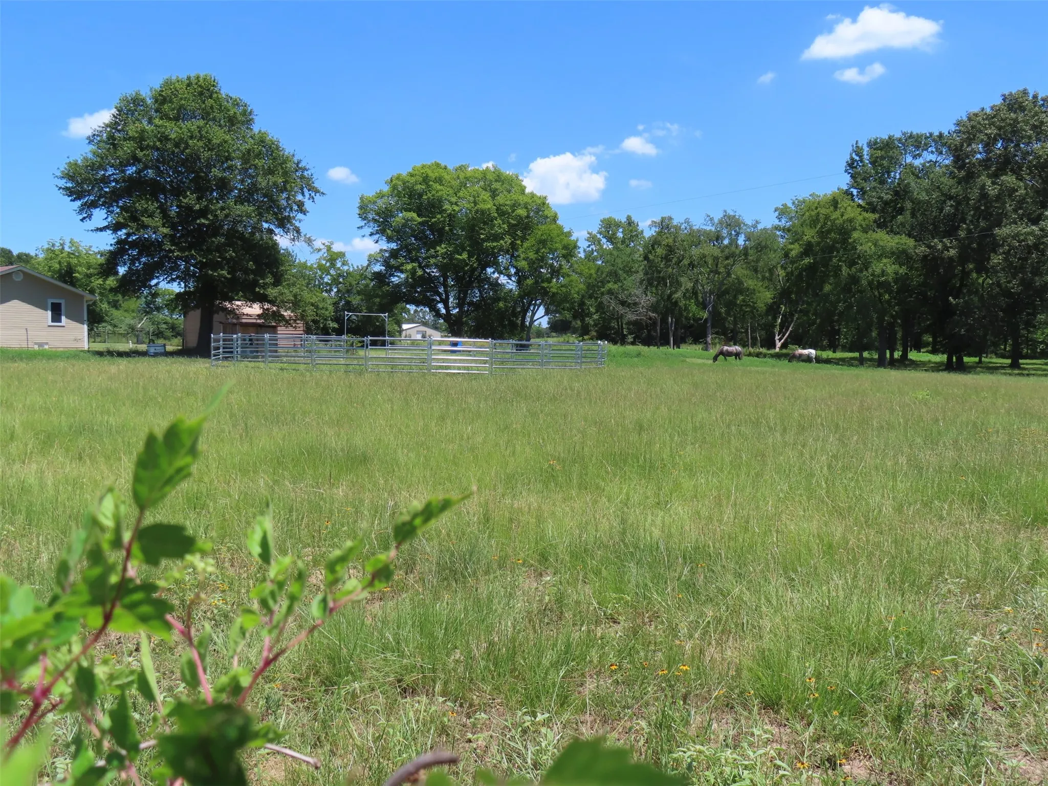 Single Family Residence For Sale in Camp County , 2099 County Road 3420, Leesburg, Texas 75451, 2 Bedroom, 1 Bathroom, Garage spaces, 832 Sqft, built in 1973, mls#21385505, Real Estate Agent in Leesburg, Homes For Sale in Camp county, Homes For Sale in Leesburg, Realtor in Leesburg Texas, Real Estate Brokerage Independent Realty Texas, Luminita Cordes Realtor