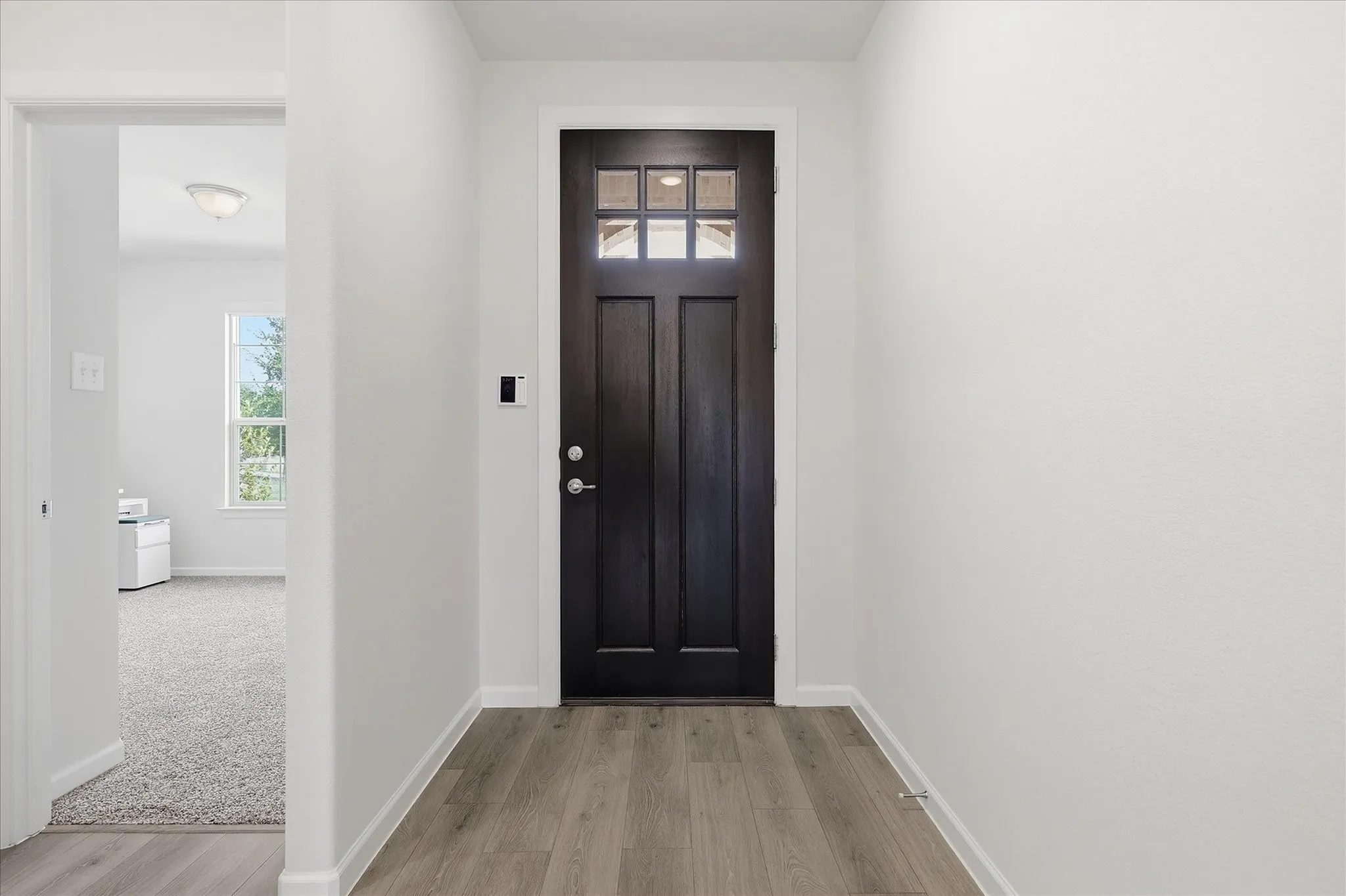Entryway featuring wood-finish flooring, a dark paneled front door with glass inserts, and a light-filled room beyond with carpeting and a ceiling-mounted light fixture