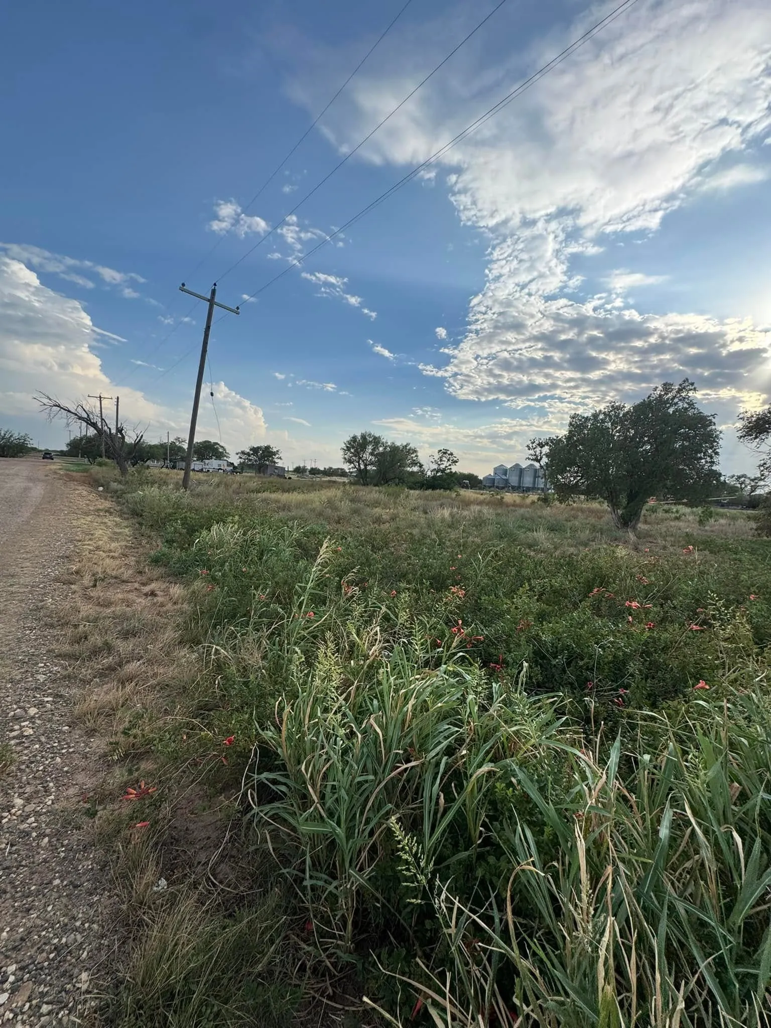 Single Family Residence For Sale in Hardeman County , 182 Scott, Quanah, Texas 79252, 2 Bedroom, 1 Bathroom, Garage spaces, 1,086 Sqft, built in 1910, mls#21385541, Real Estate Agent in Quanah, Homes For Sale in Hardeman county, Homes For Sale in Quanah, Realtor in Quanah Texas, Real Estate Brokerage Independent Realty Texas, Luminita Cordes Realtor