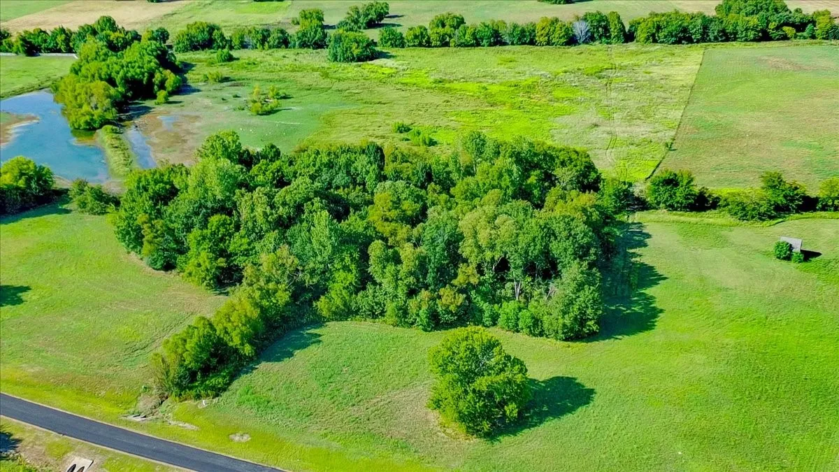 Unimproved Land For Sale in Henderson County , TBD Shore Crest Way, Athens, Texas 75752, 0, 0, Garage spaces, 0 Sqft, built in 0, mls#21385506, Real Estate Agent in Athens, Homes For Sale in Henderson county, Homes For Sale in Athens, Realtor in Athens Texas, Real Estate Brokerage Independent Realty Texas, Luminita Cordes Realtor