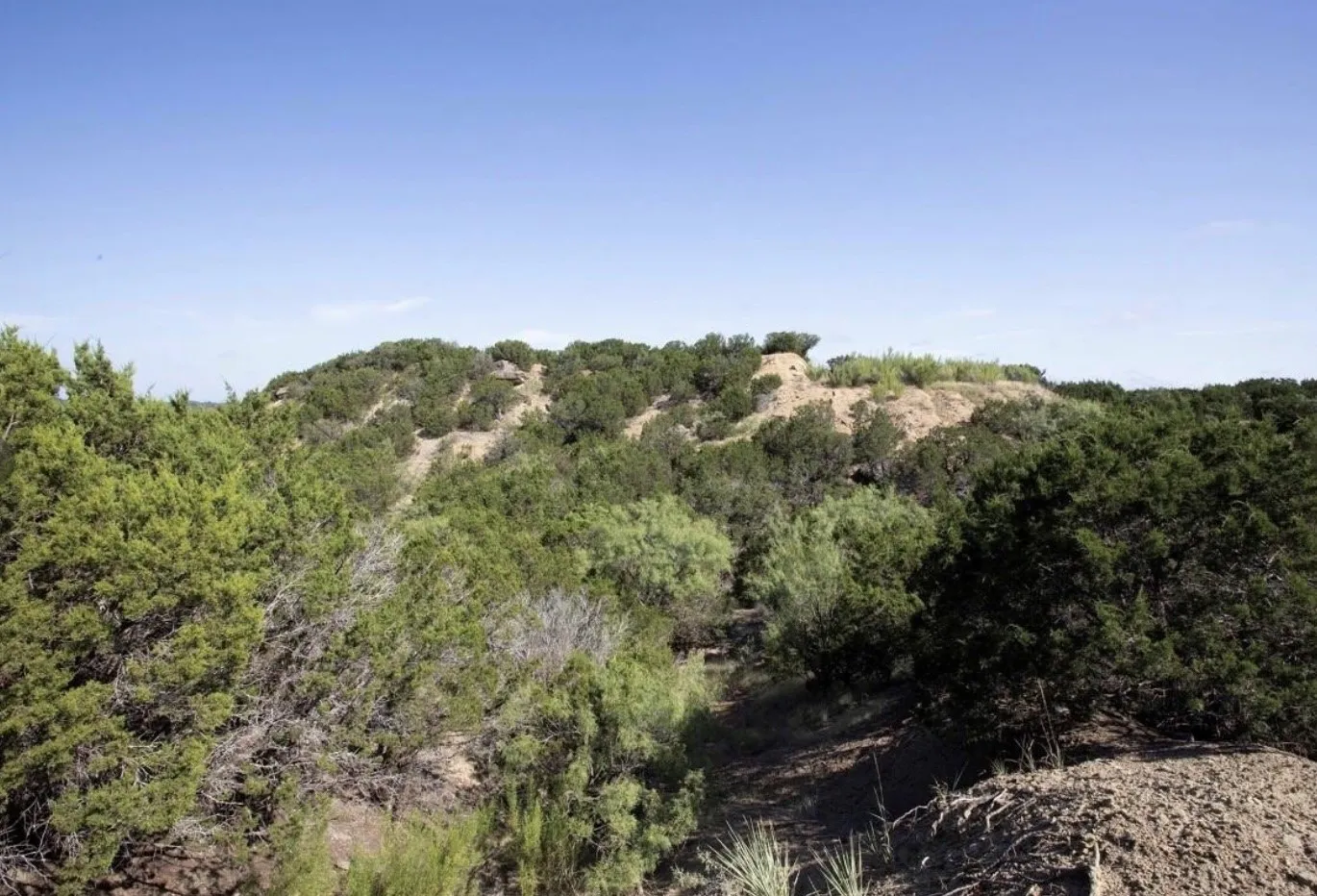 Unimproved Land For Sale in Palo Pinto County , 1018 Turtle Dove Lane, Graford, Texas 76449, 0, 0, Garage spaces, 0 Sqft, built in 0, mls#21368500, Real Estate Agent in Graford, Homes For Sale in Palo Pinto county, Homes For Sale in Graford, Realtor in Graford Texas, Real Estate Brokerage Independent Realty Texas, Luminita Cordes Realtor