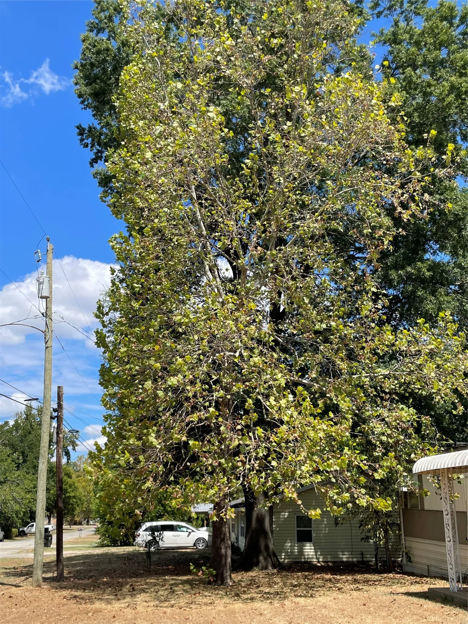 Mobile Home For Sale in Van Zandt County , 104 Humphries Street, Edgewood, Texas 75117, 3 Bedroom, 2 Bathroom, Garage spaces, 1,336 Sqft, built in 1976, mls#21385579, Real Estate Agent in Edgewood, Homes For Sale in Van Zandt county, Homes For Sale in Edgewood, Realtor in Edgewood Texas, Real Estate Brokerage Independent Realty Texas, Luminita Cordes Realtor