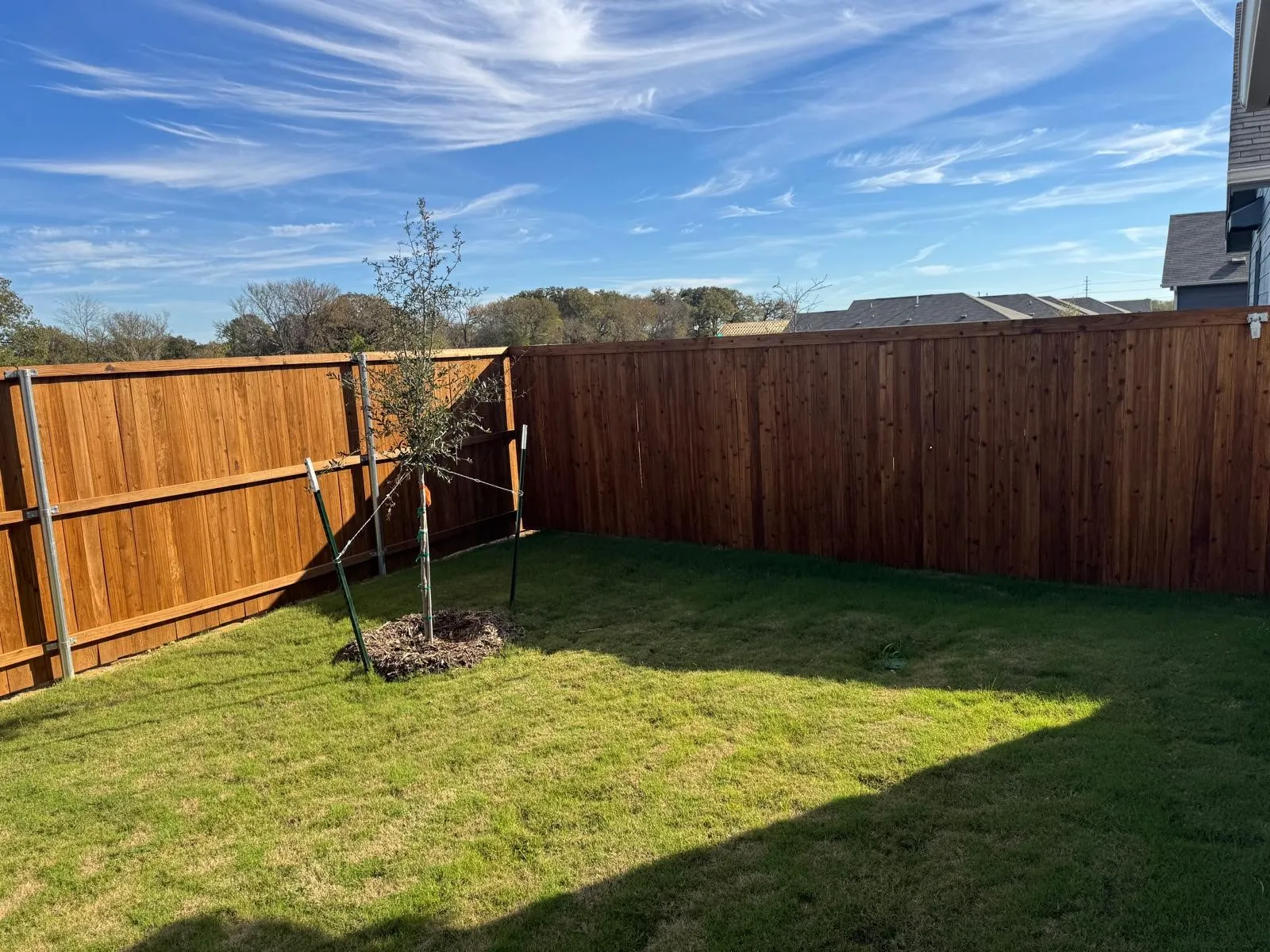View of fenced backyard