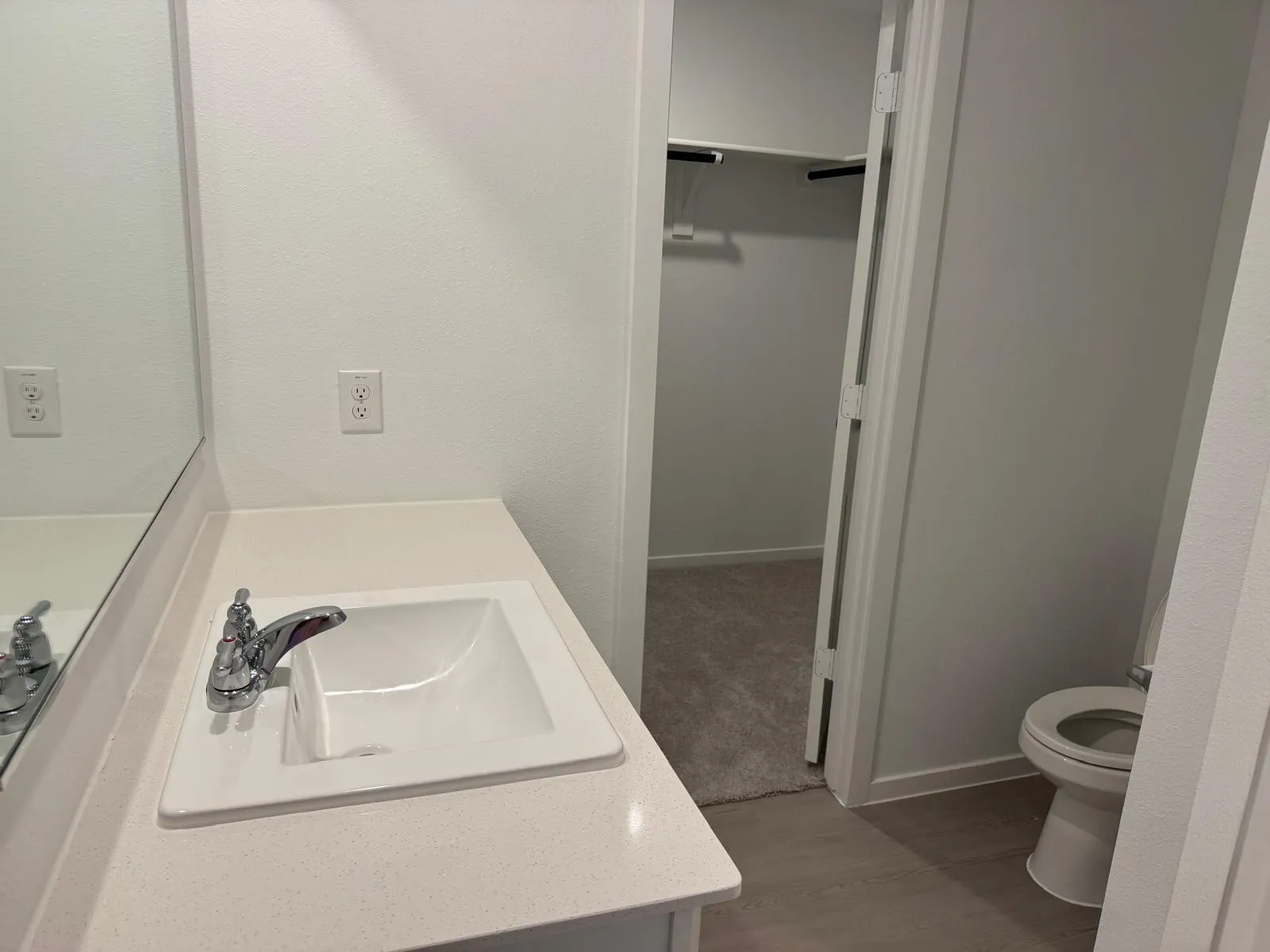 Bathroom with vanity, light wood-type flooring, and a spacious closet