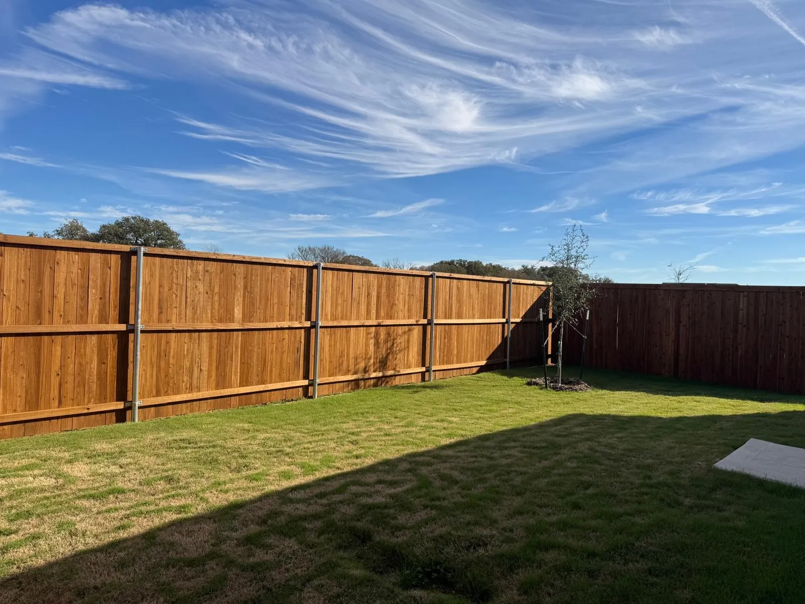 View of fenced backyard