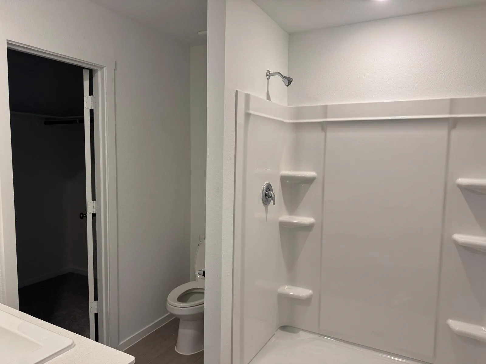 Full bath featuring vanity, a spacious closet, a stall shower, and light wood-style flooring