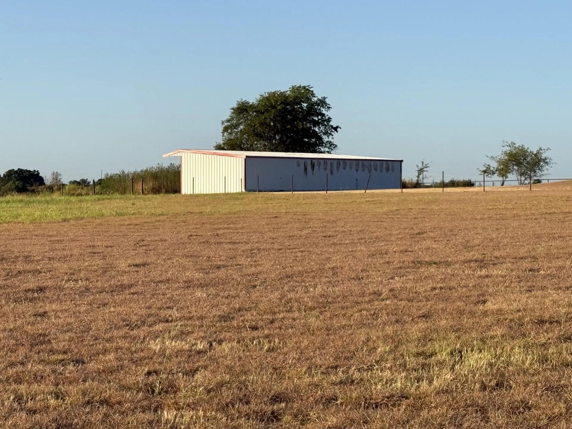 Barn