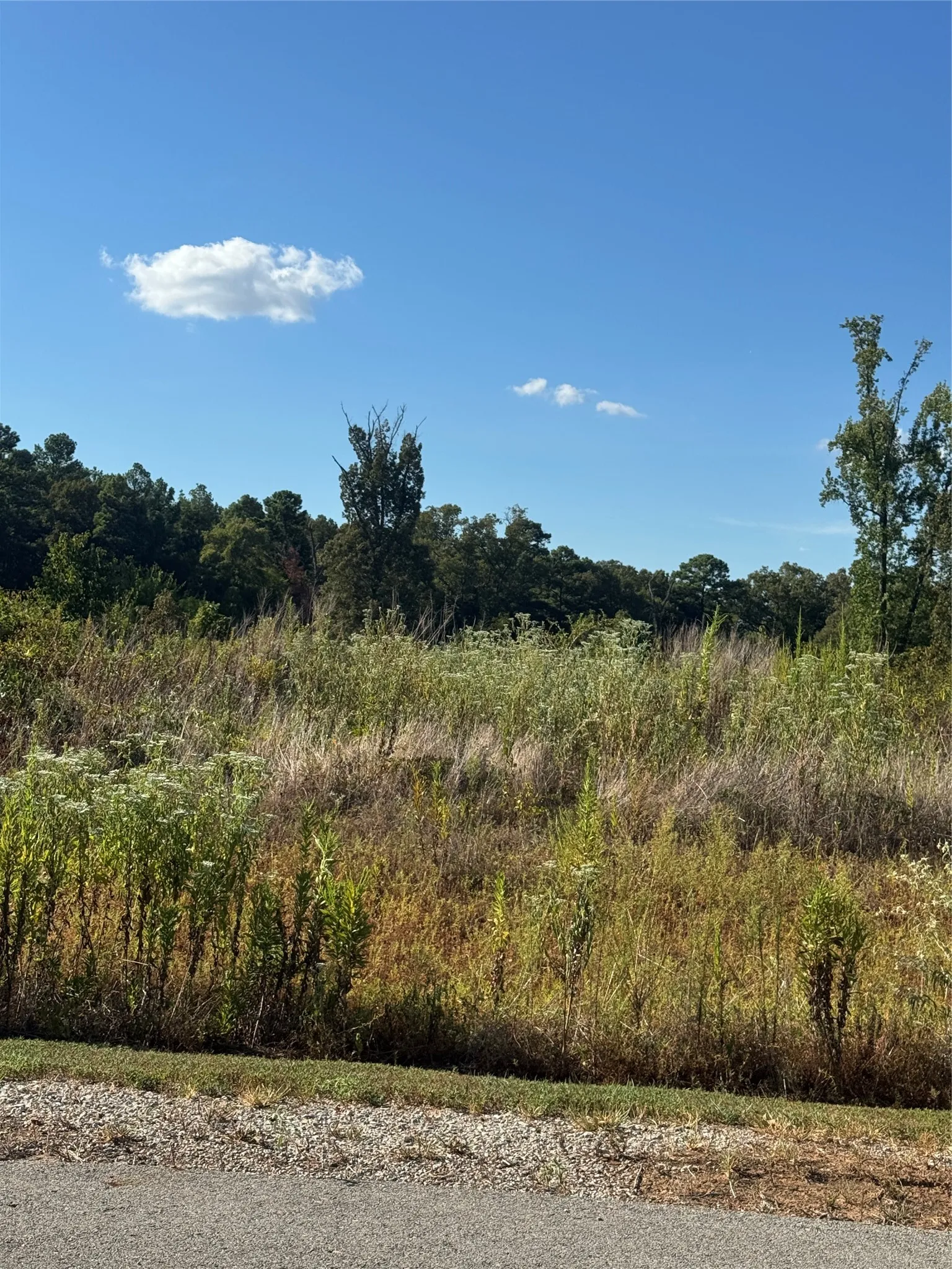 Unimproved Land For Sale in Smith County , LOT 56 Ridgeline Loop, Winona, Texas 75792, 0, 0, Garage spaces, 0 Sqft, built in 0, mls#21384790, Real Estate Agent in Winona, Homes For Sale in Smith county, Homes For Sale in Winona, Realtor in Winona Texas, Real Estate Brokerage Independent Realty Texas, Luminita Cordes Realtor