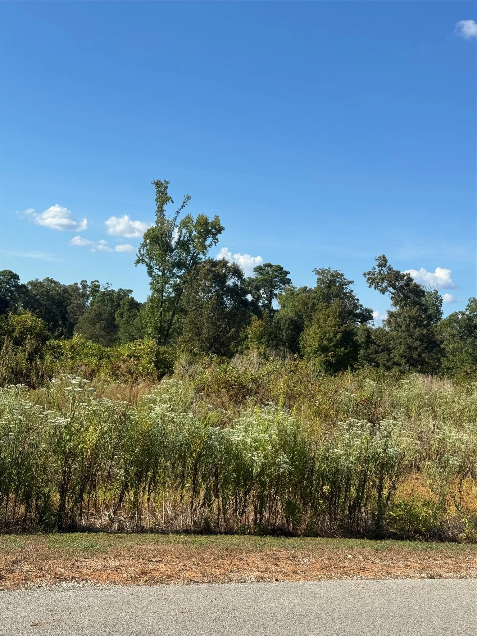 Unimproved Land For Sale in Smith County , LOT 56 Ridgeline Loop, Winona, Texas 75792, 0, 0, Garage spaces, 0 Sqft, built in 0, mls#21384790, Real Estate Agent in Winona, Homes For Sale in Smith county, Homes For Sale in Winona, Realtor in Winona Texas, Real Estate Brokerage Independent Realty Texas, Luminita Cordes Realtor