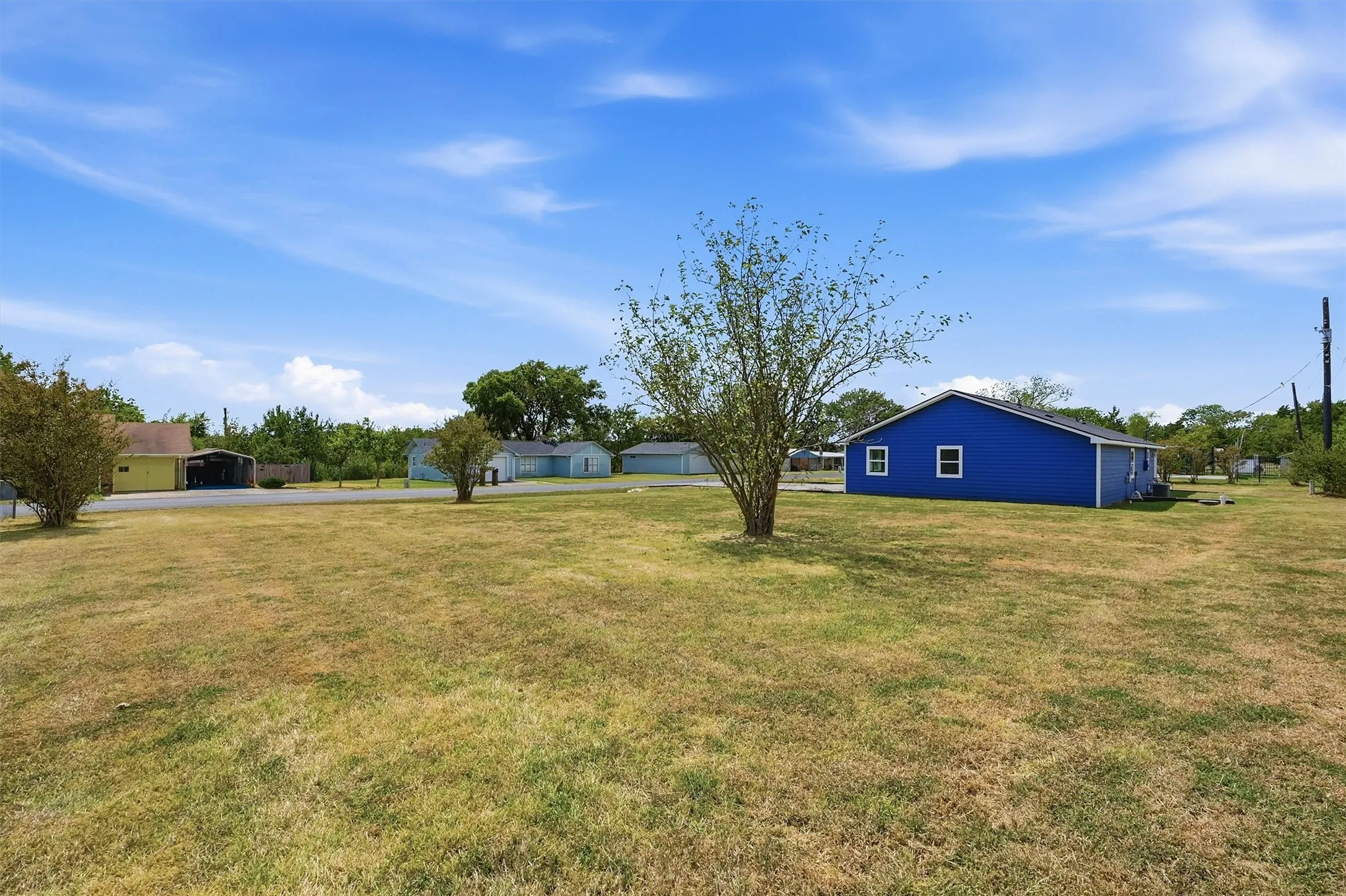 Expansive grassed area with a mature tree